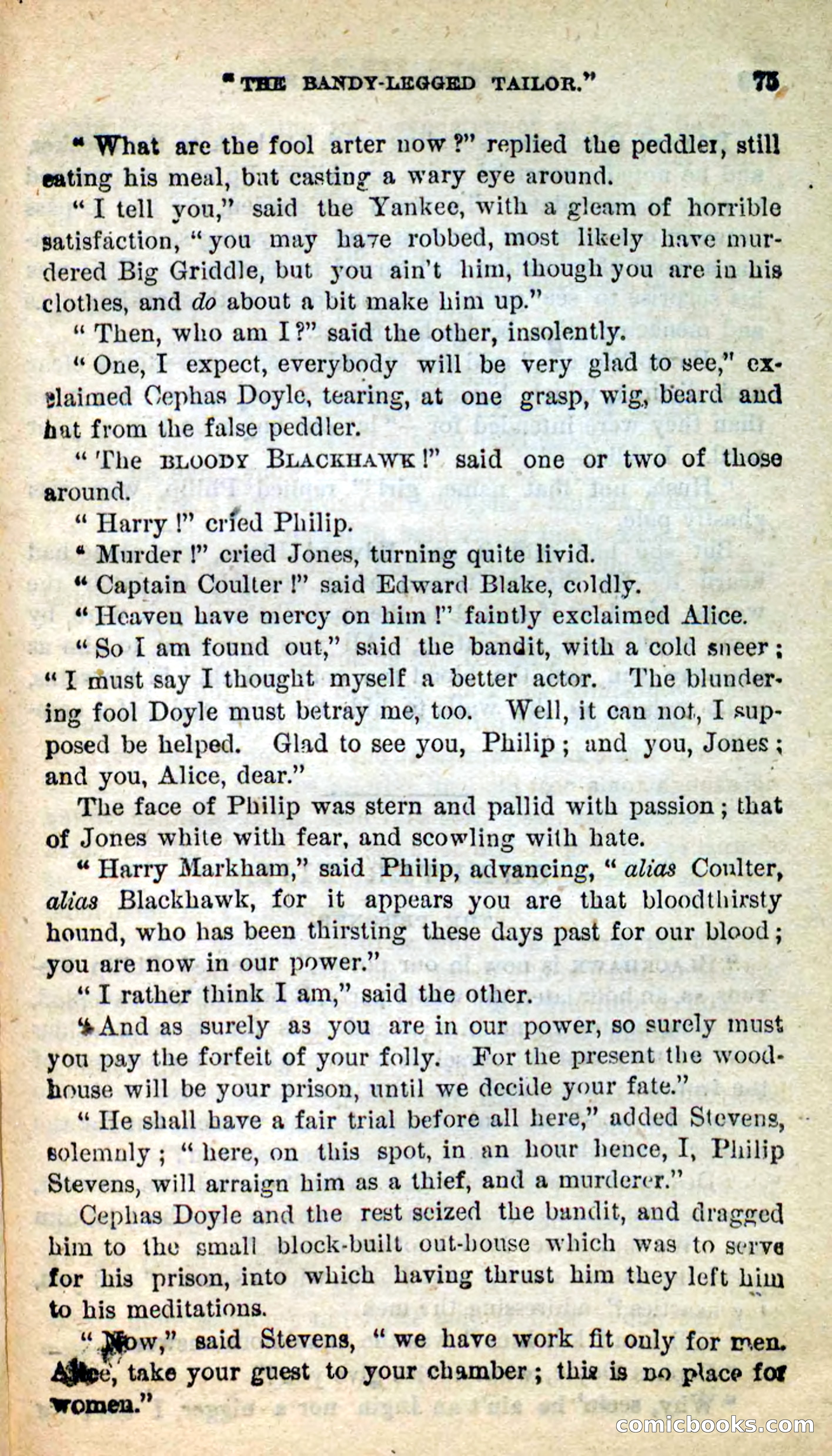 Blackhawk, the Bandit — page 71 of 100