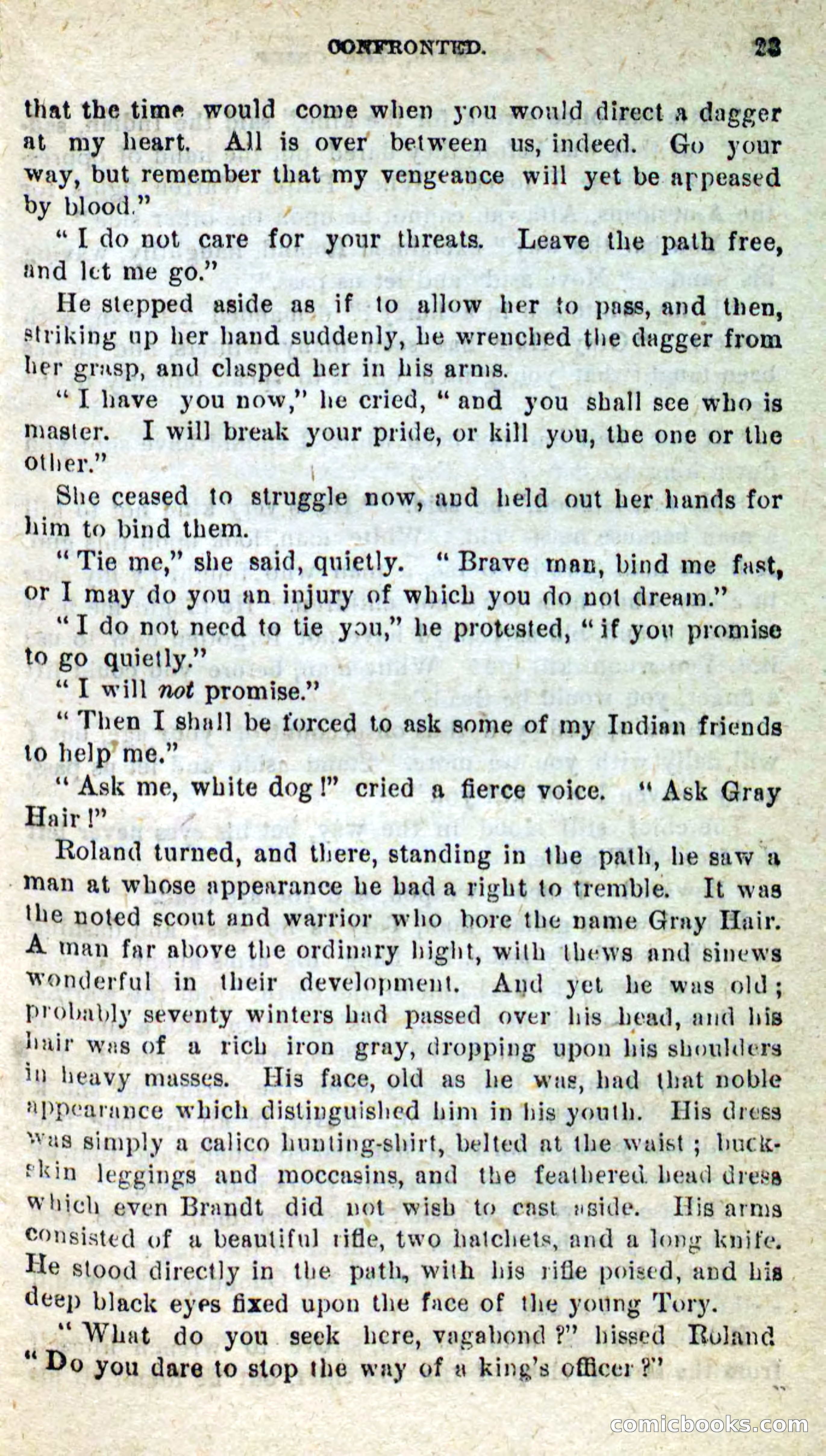 Beadle's New Dime Novels, No. 9 — page 19 of 100