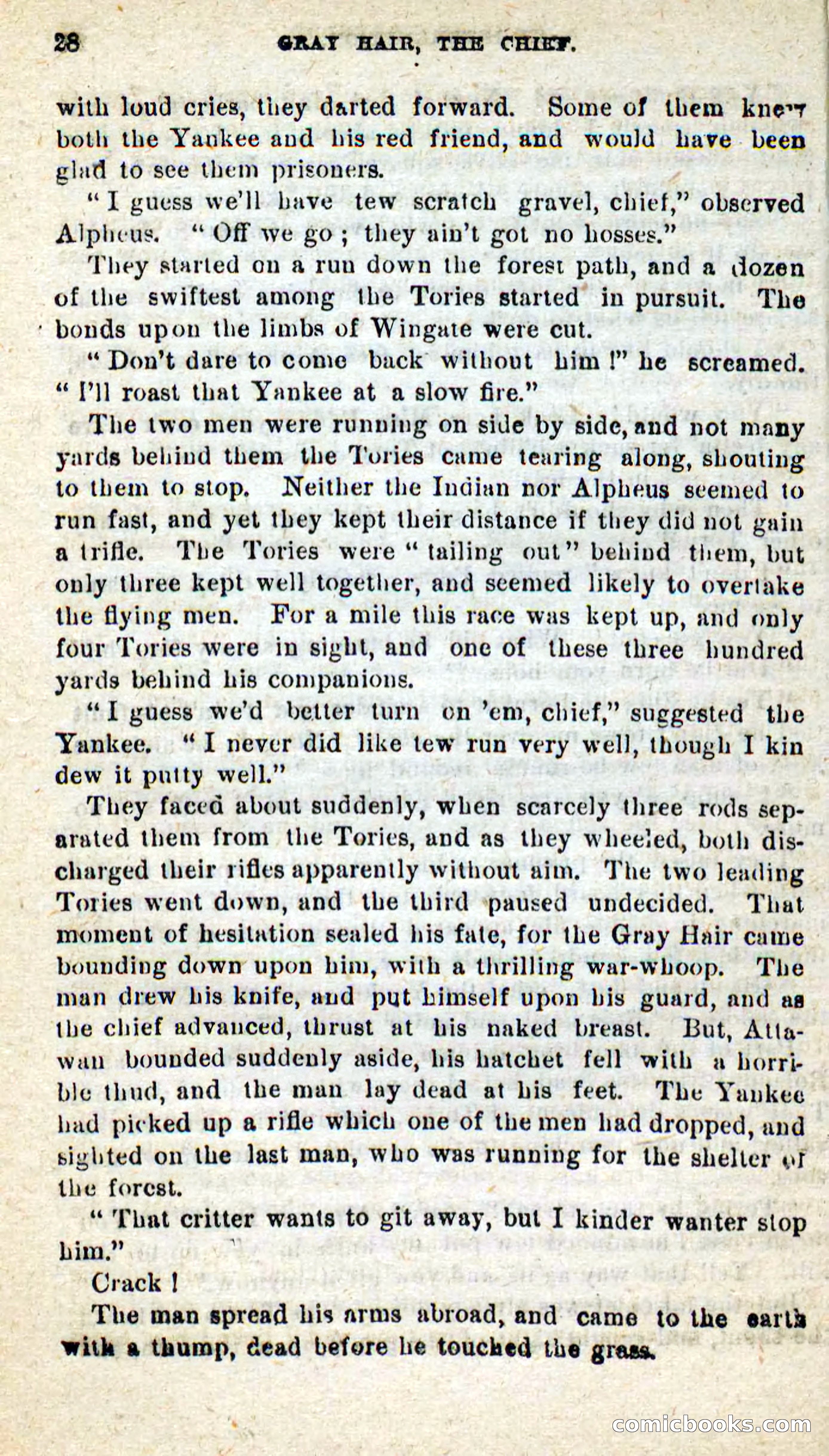 Beadle's New Dime Novels, No. 9 — page 24 of 100