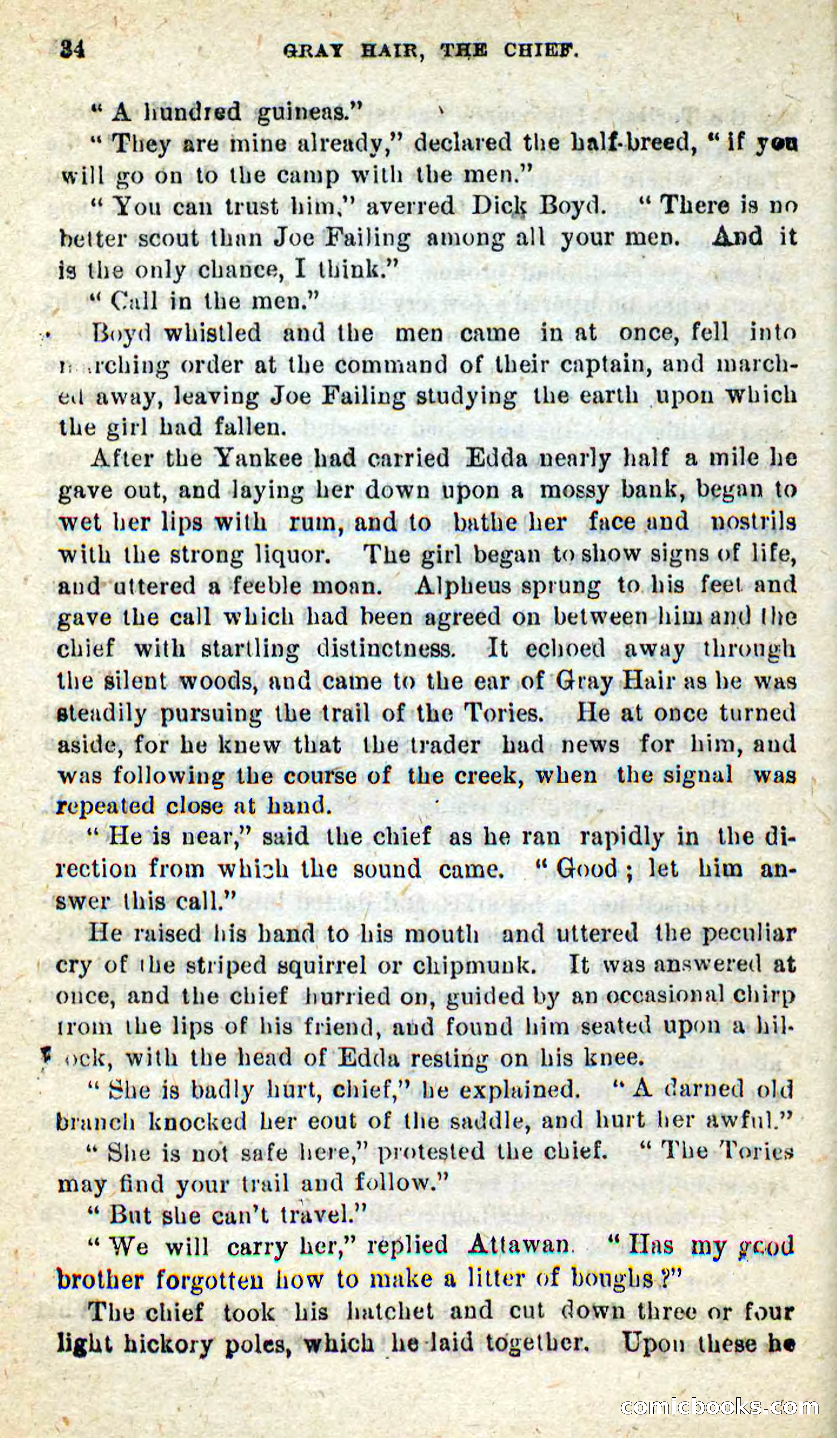 Beadle's New Dime Novels, No. 9 — page 30 of 100