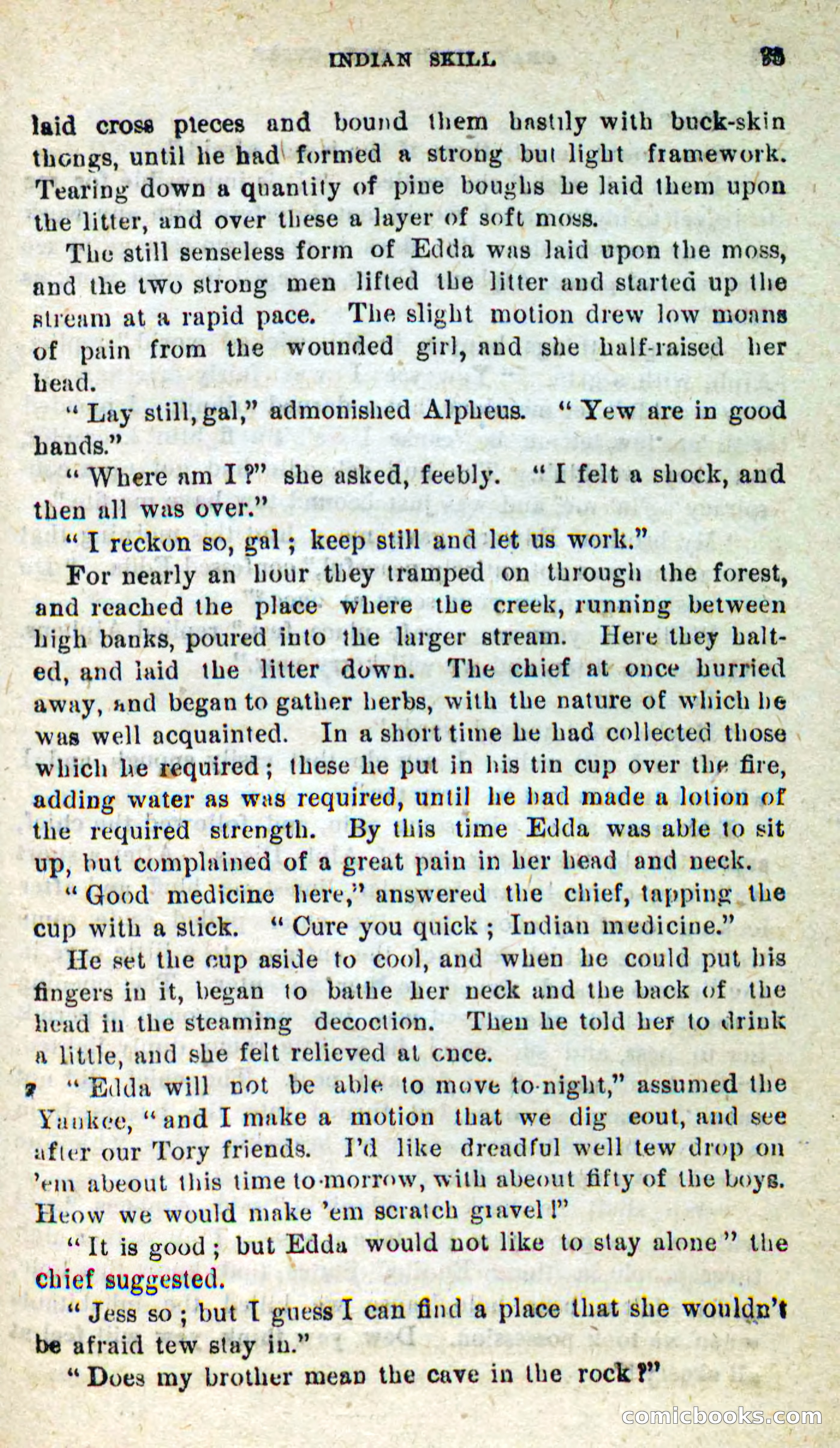 Beadle's New Dime Novels, No. 9 — page 31 of 100