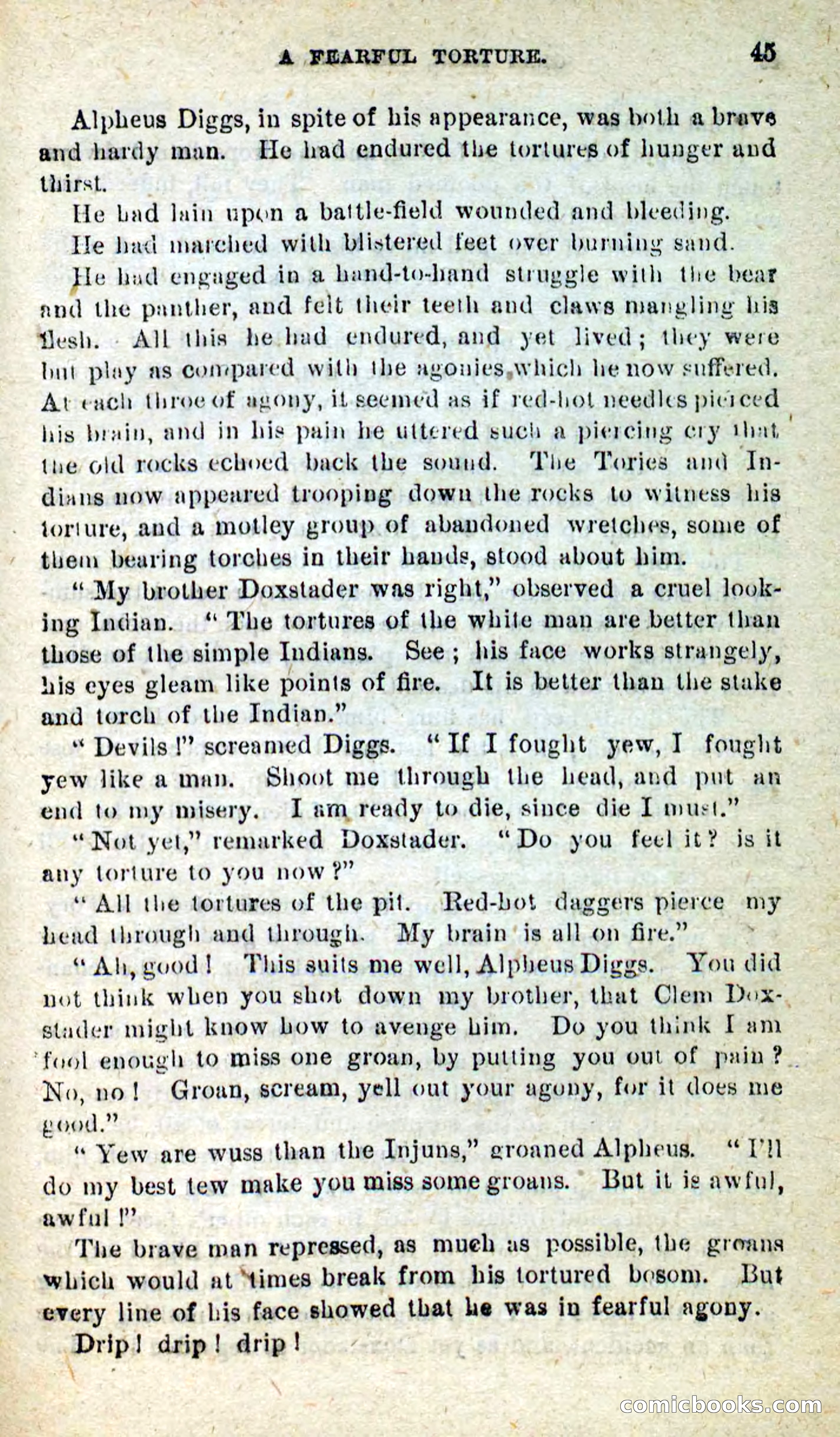 Beadle's New Dime Novels, No. 9 — page 41 of 100