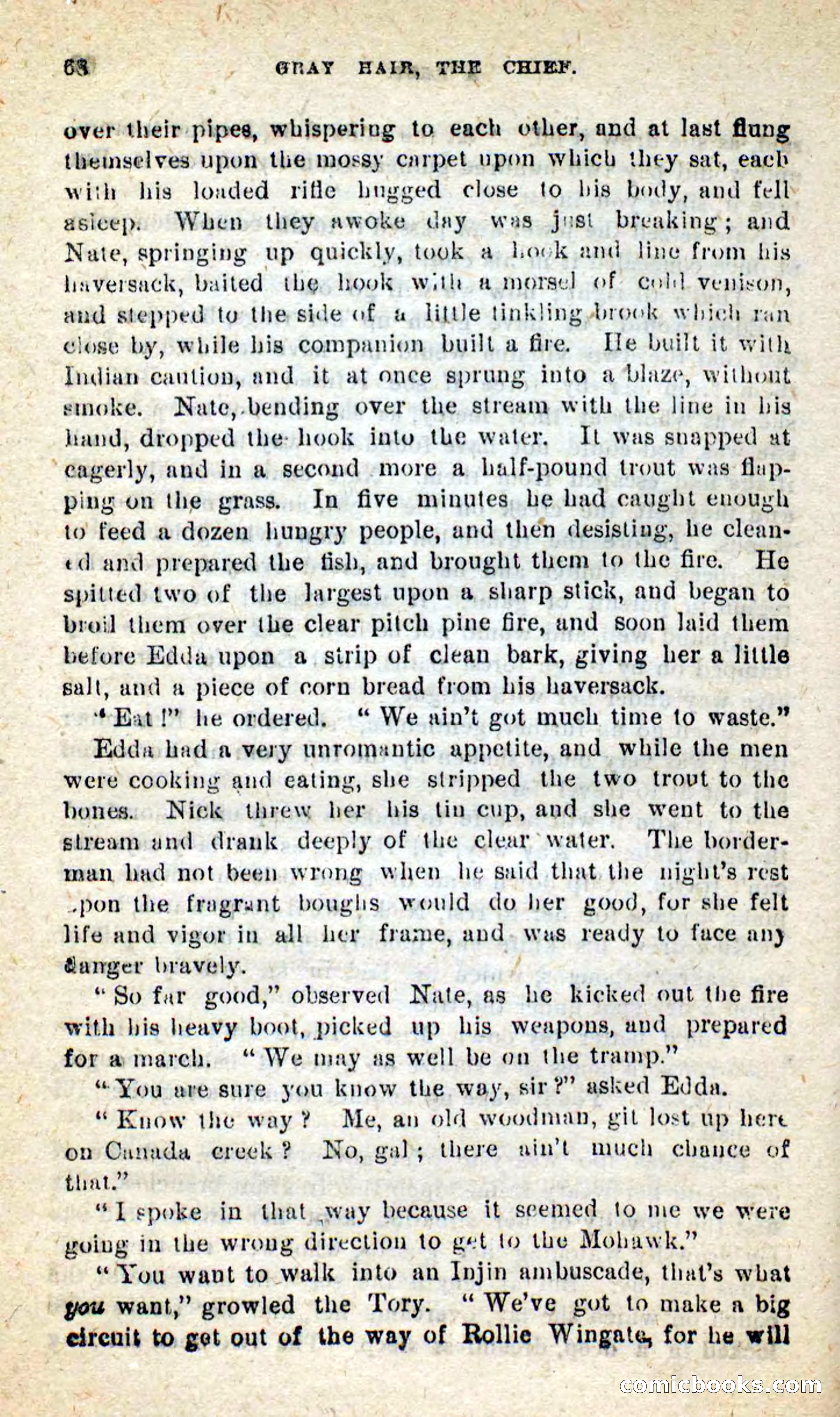 Beadle's New Dime Novels, No. 9 — page 64 of 100