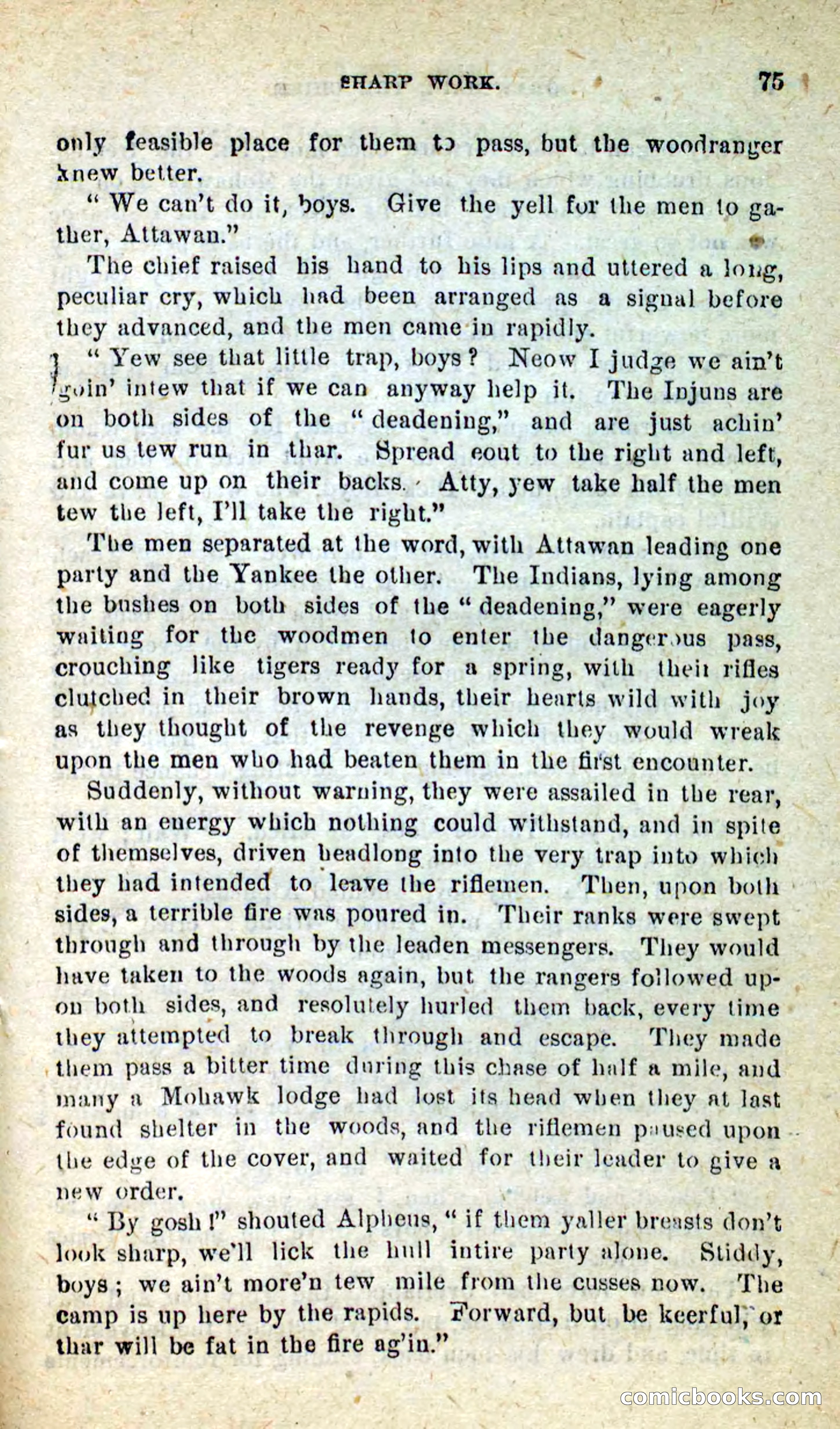Beadle's New Dime Novels, No. 9 — page 71 of 100