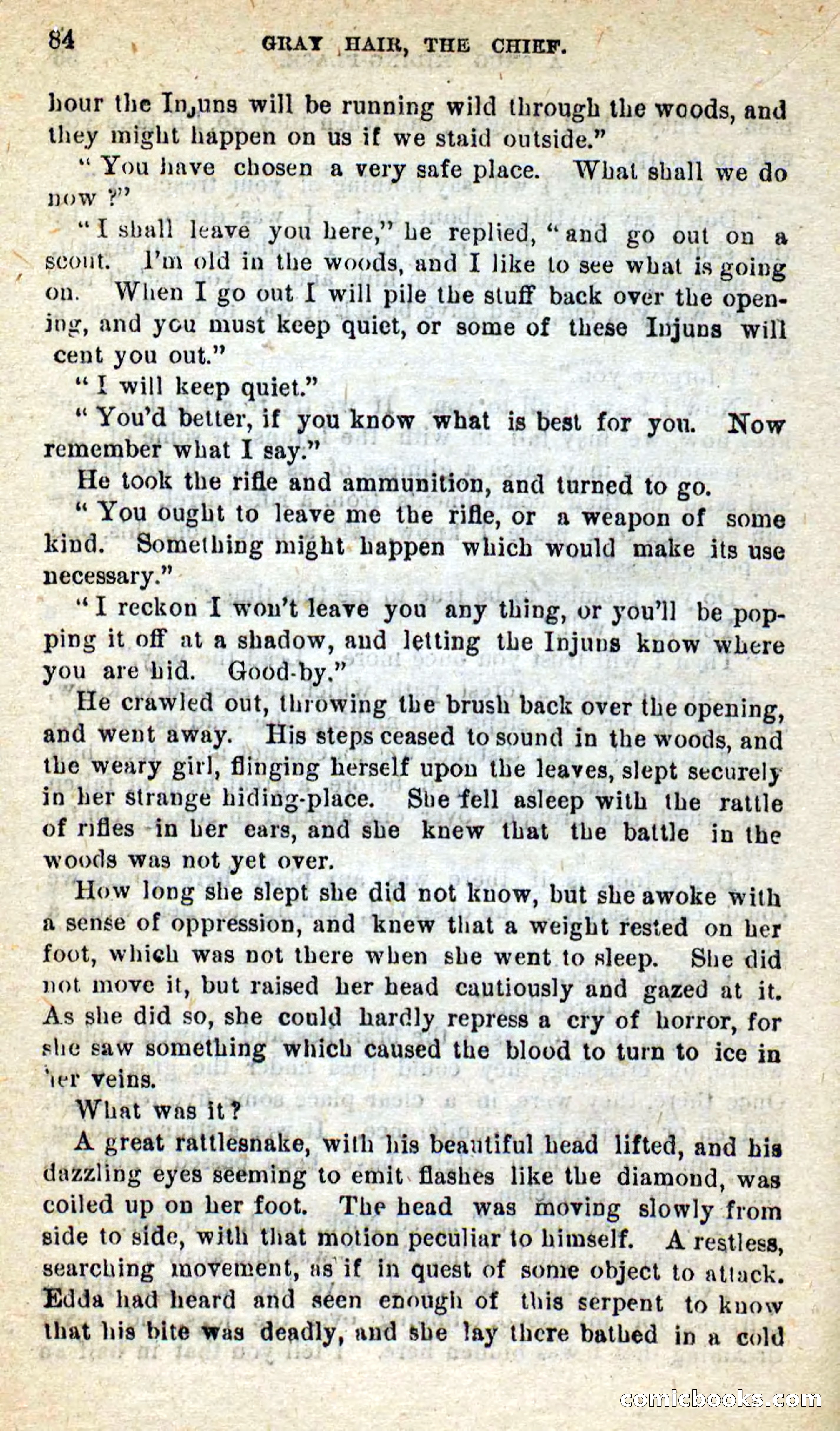 Beadle's New Dime Novels, No. 9 — page 80 of 100