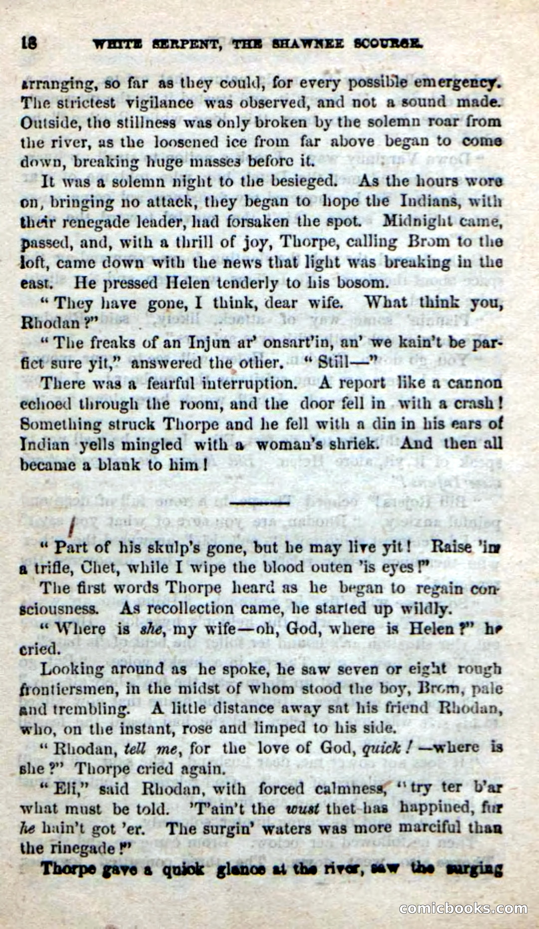 Beadle's New Dime Novels: White Serpent, the Scourge — page 14 of 101