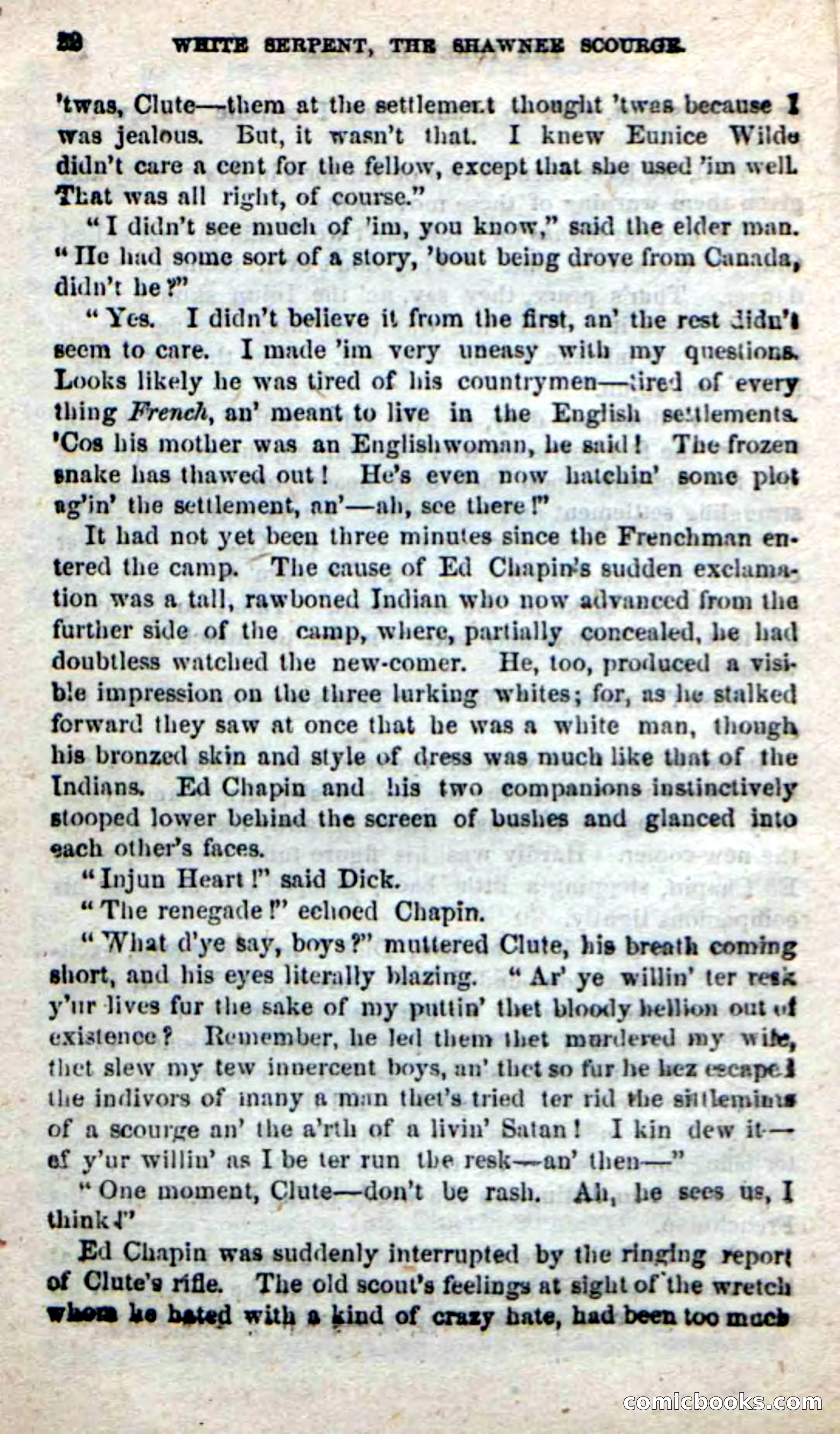 Beadle's New Dime Novels: White Serpent, the Scourge — page 19 of 101