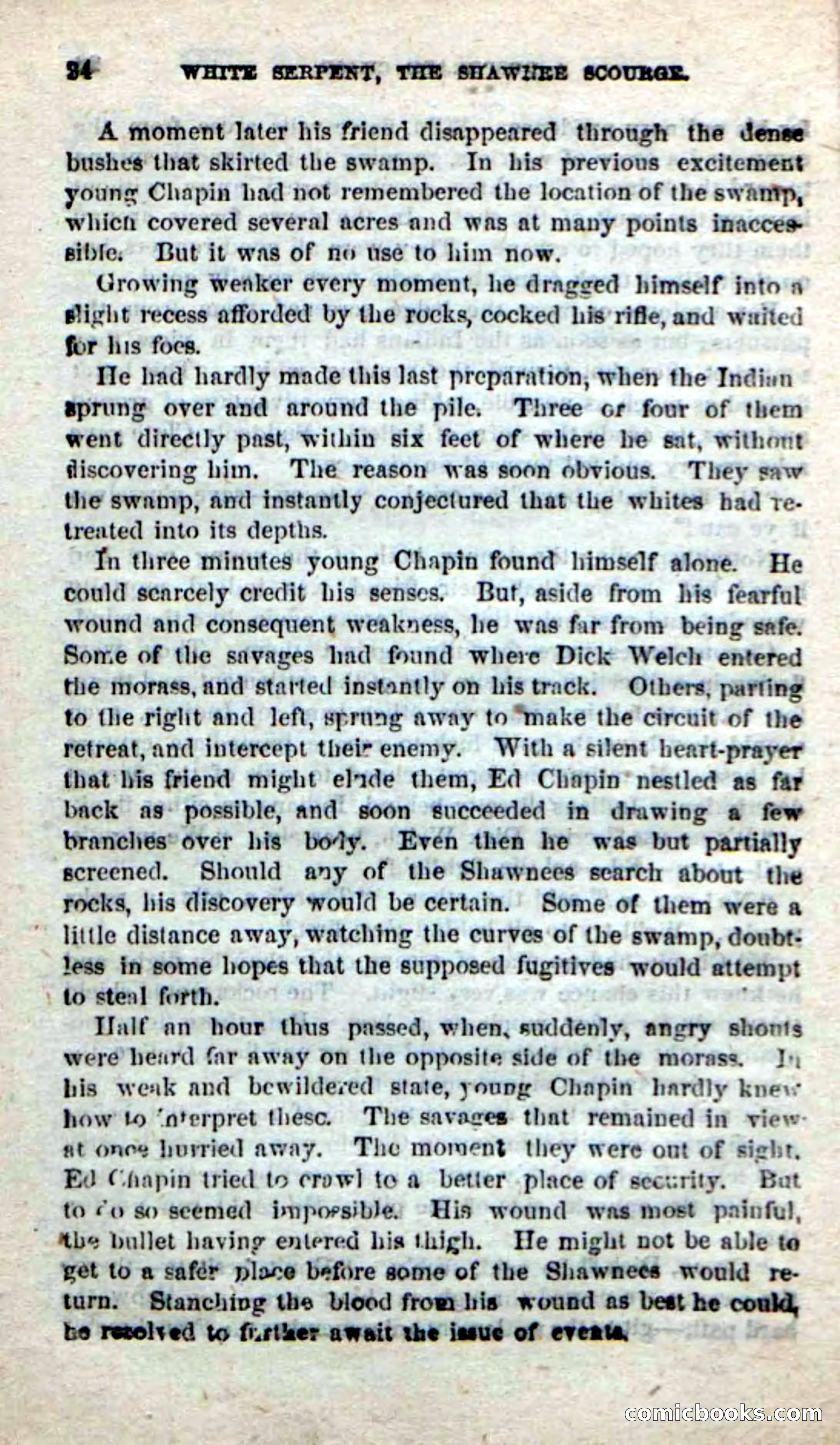 Beadle's New Dime Novels: White Serpent, the Scourge — page 21 of 101