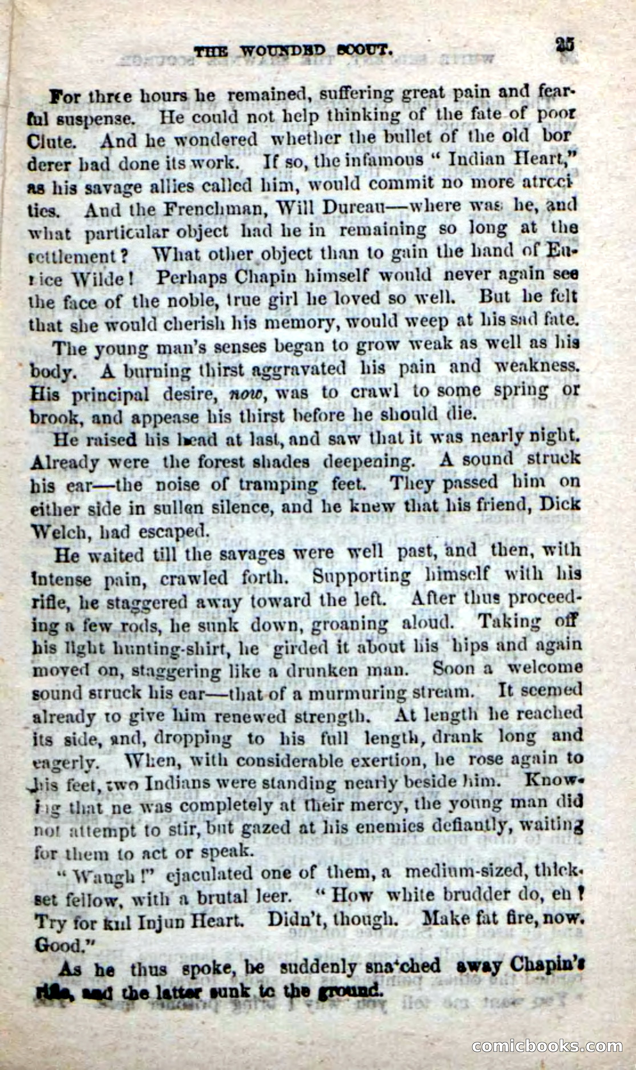 Beadle's New Dime Novels: White Serpent, the Scourge — page 22 of 101