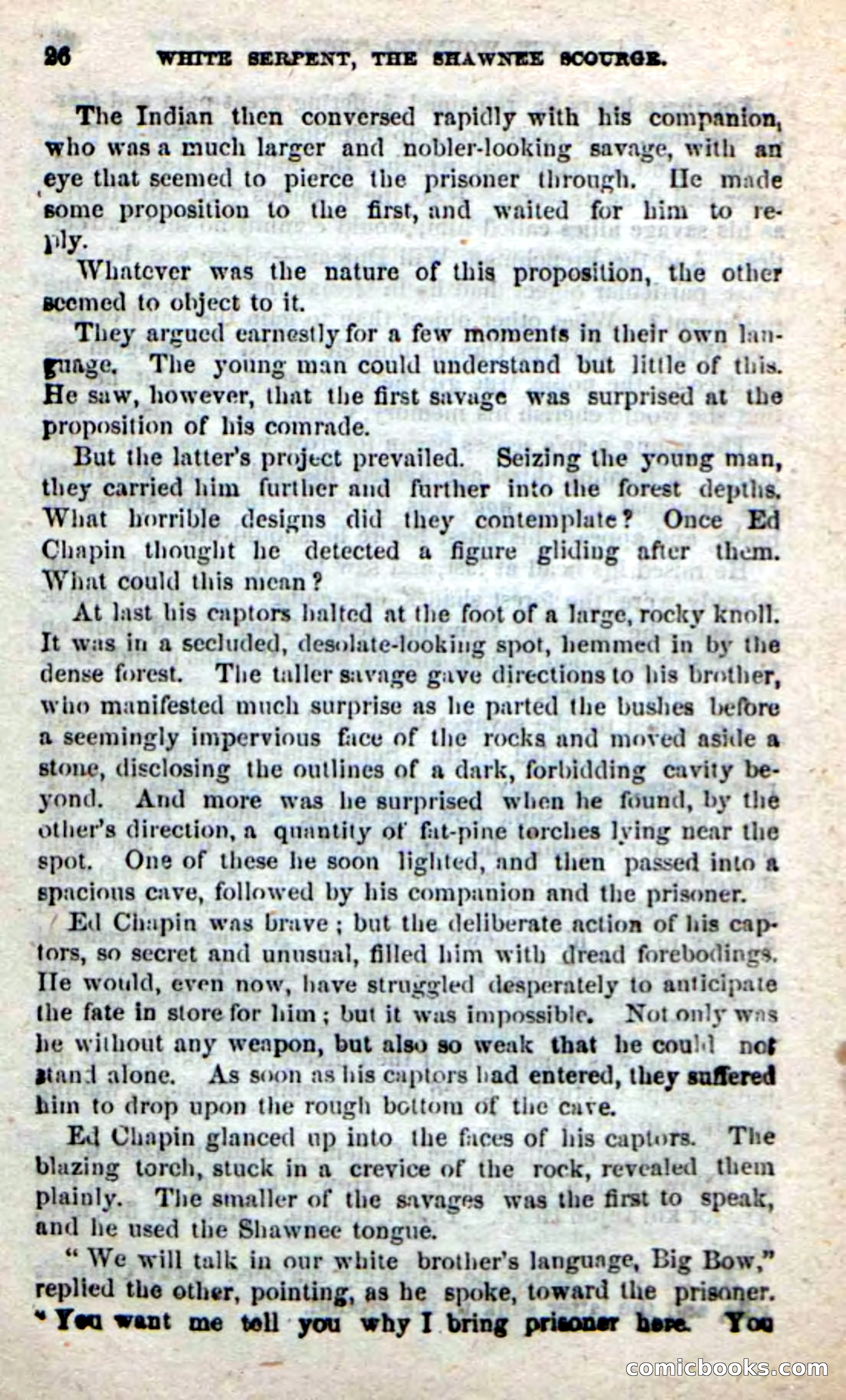 Beadle's New Dime Novels: White Serpent, the Scourge — page 23 of 101