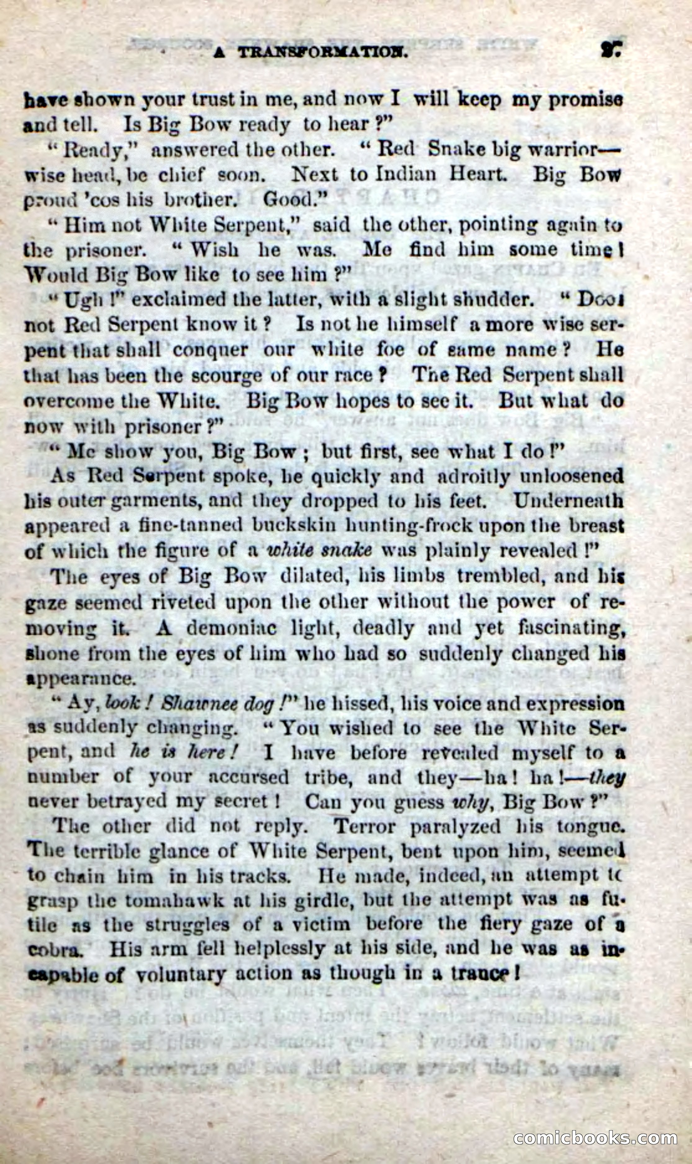 Beadle's New Dime Novels: White Serpent, the Scourge — page 24 of 101