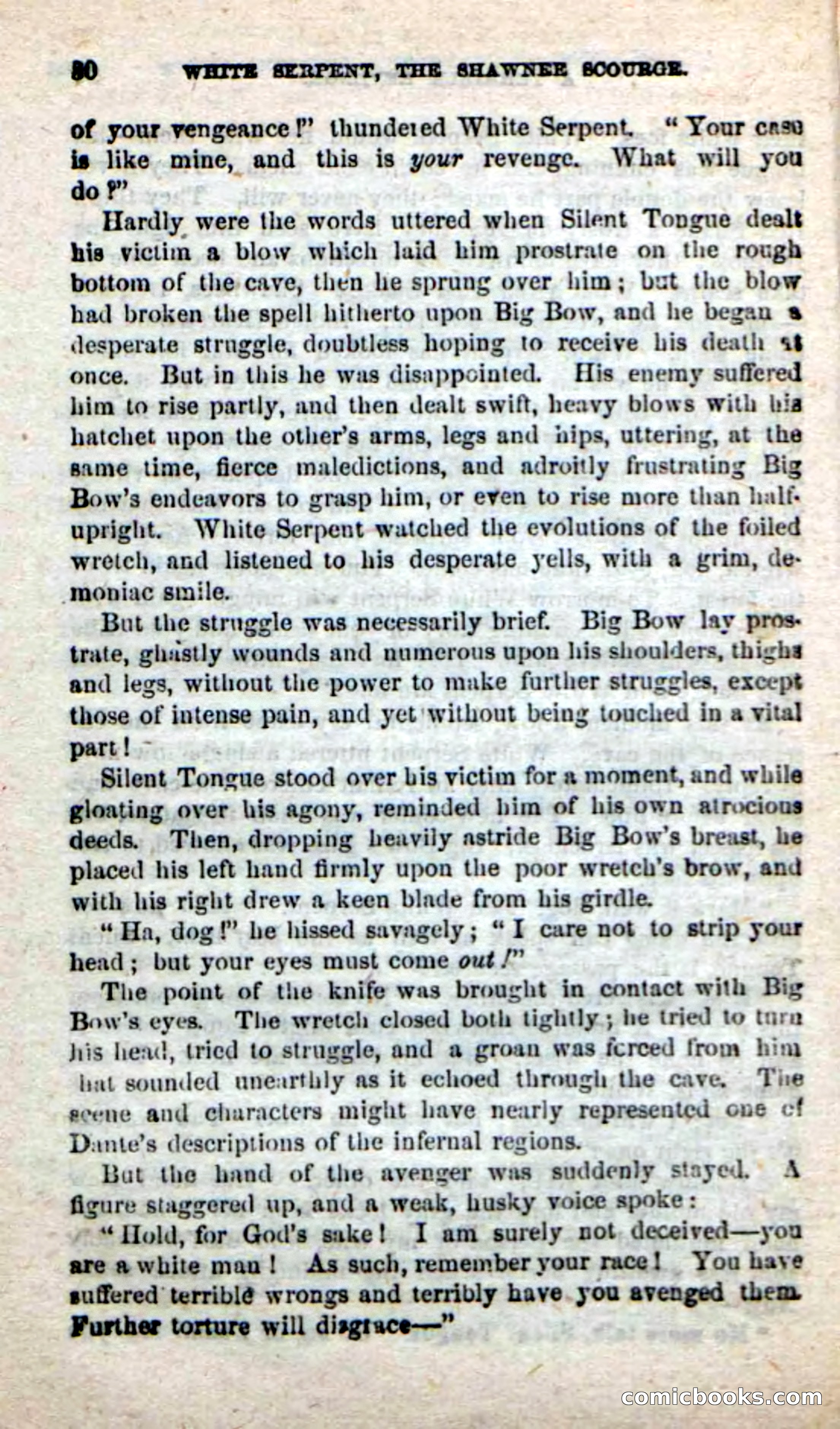 Beadle's New Dime Novels: White Serpent, the Scourge — page 27 of 101