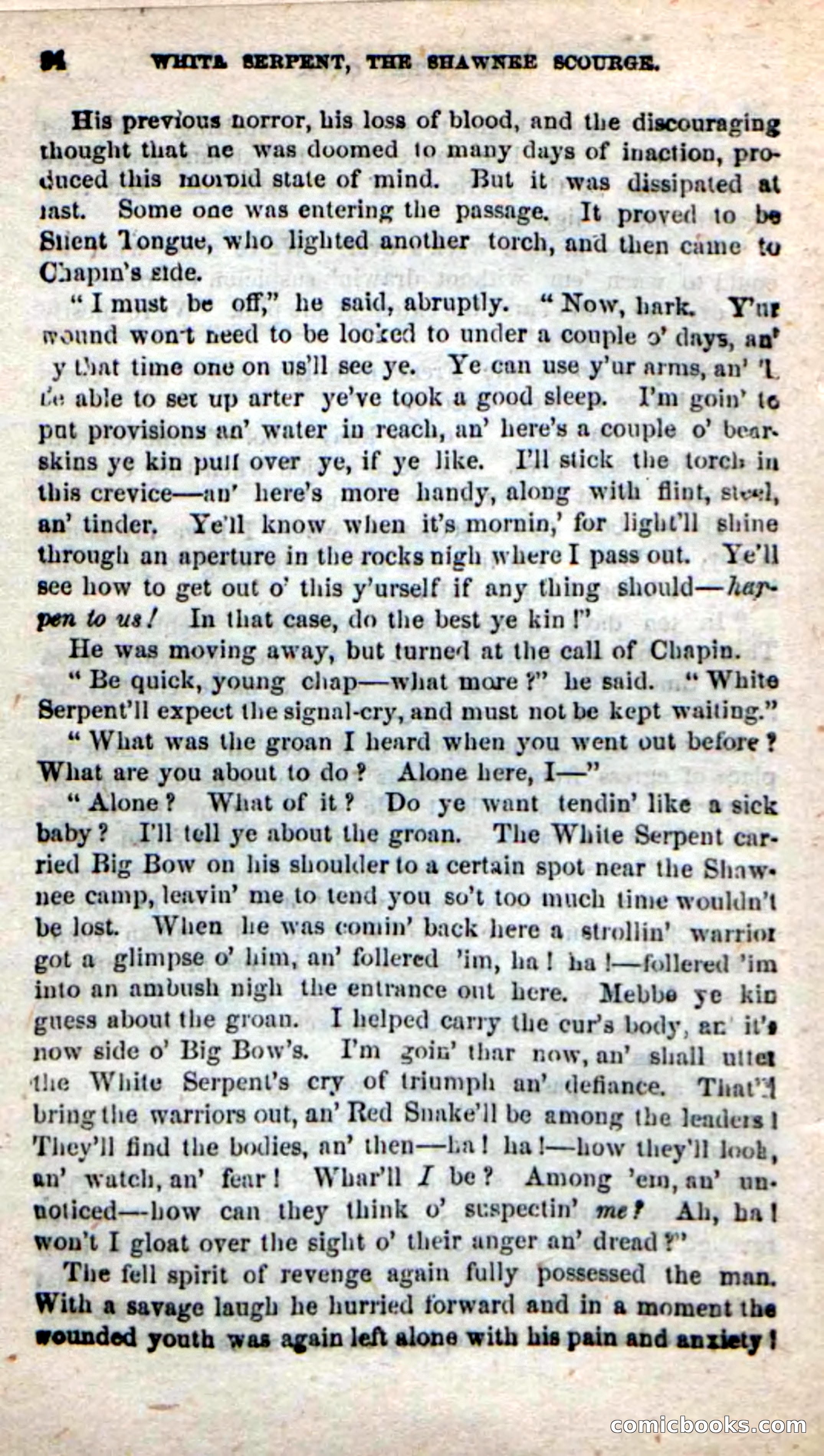 Beadle's New Dime Novels: White Serpent, the Scourge — page 31 of 101
