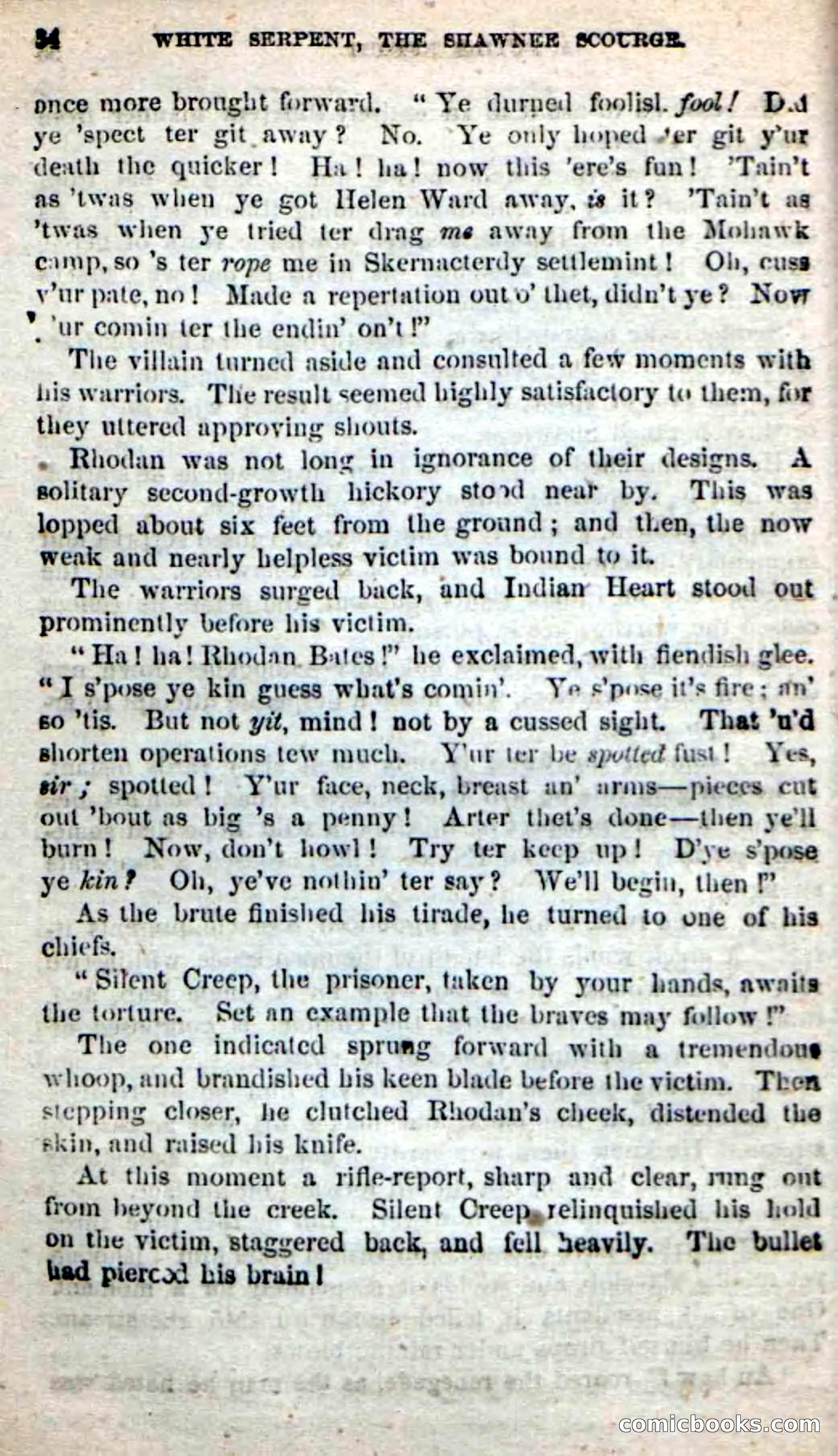 Beadle's New Dime Novels: White Serpent, the Scourge — page 61 of 101