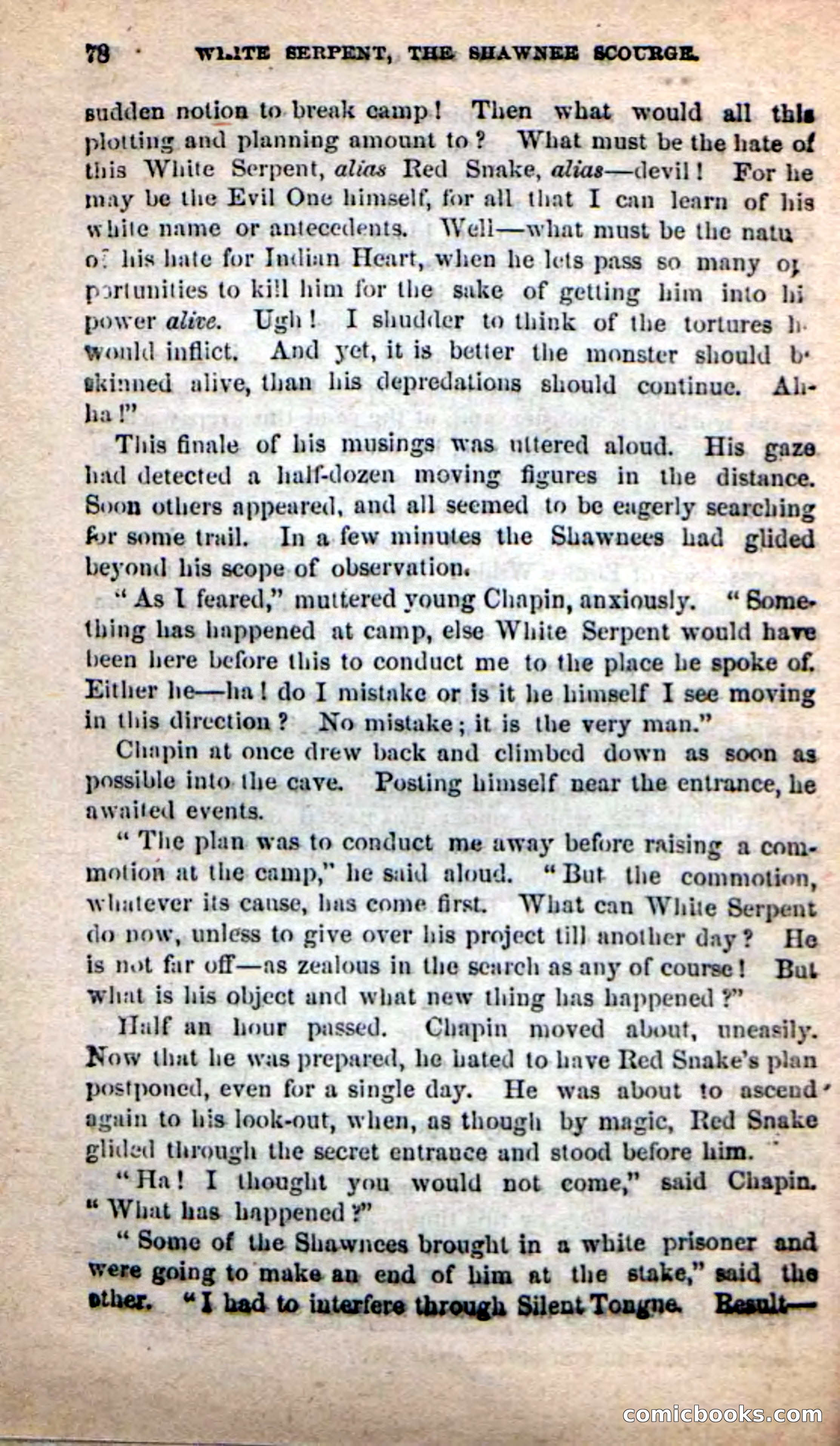 Beadle's New Dime Novels: White Serpent, the Scourge — page 75 of 101