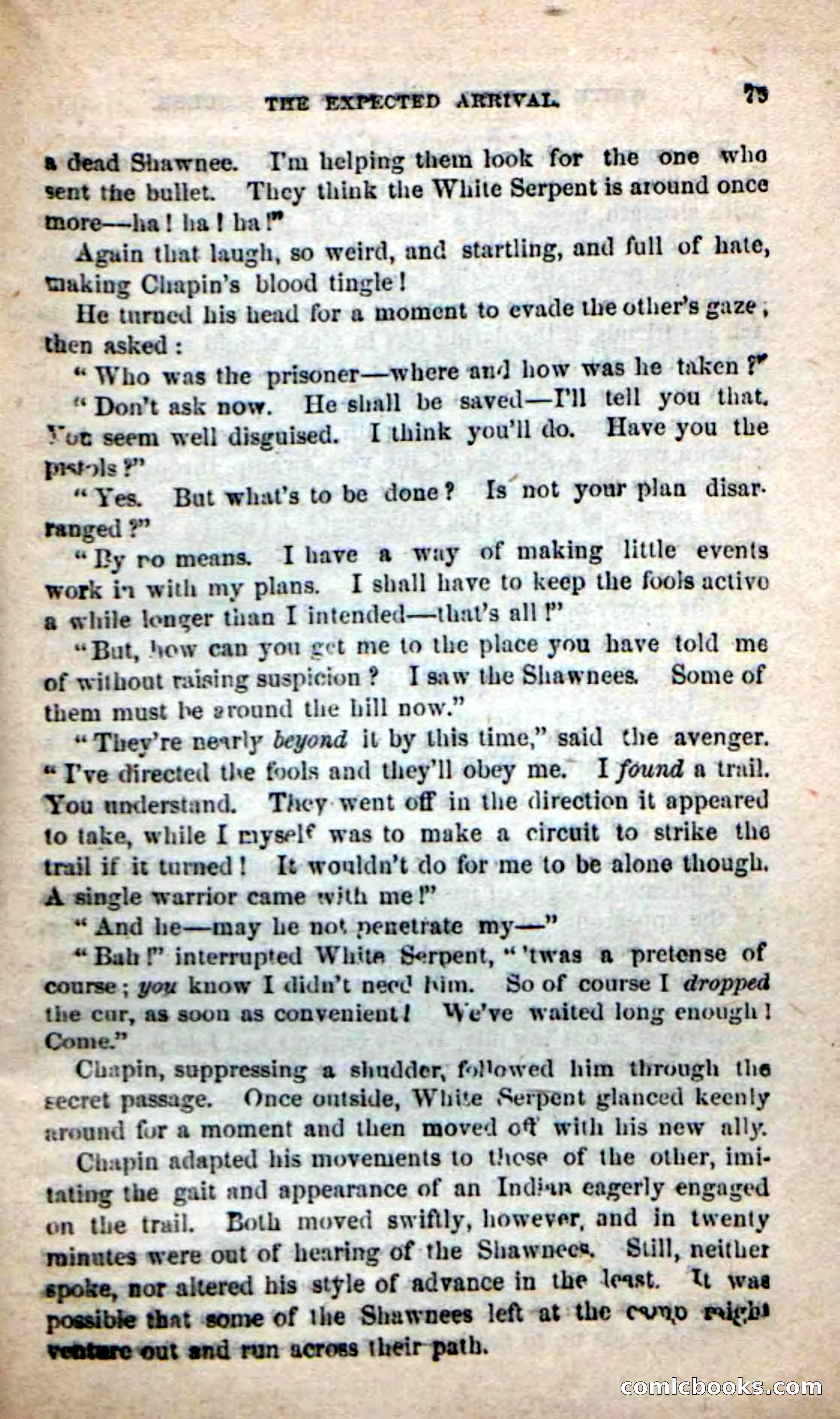 Beadle's New Dime Novels: White Serpent, the Scourge — page 76 of 101
