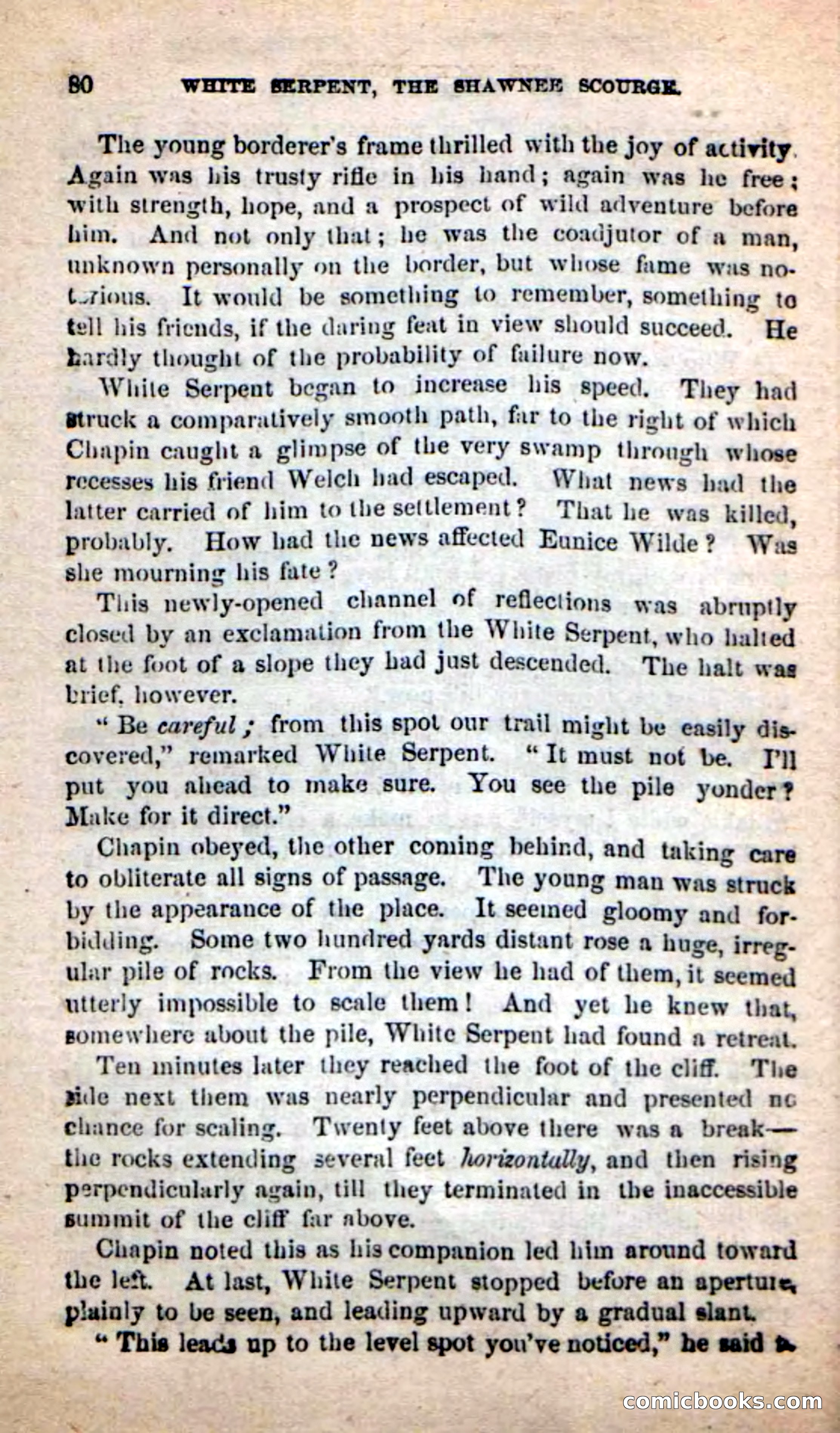 Beadle's New Dime Novels: White Serpent, the Scourge — page 77 of 101