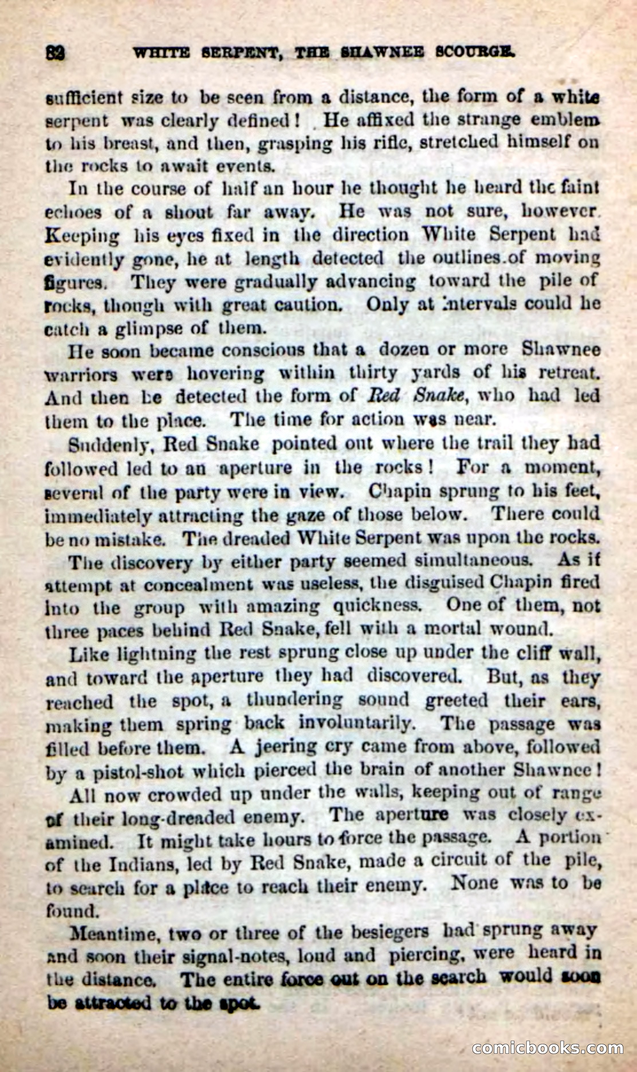 Beadle's New Dime Novels: White Serpent, the Scourge — page 79 of 101