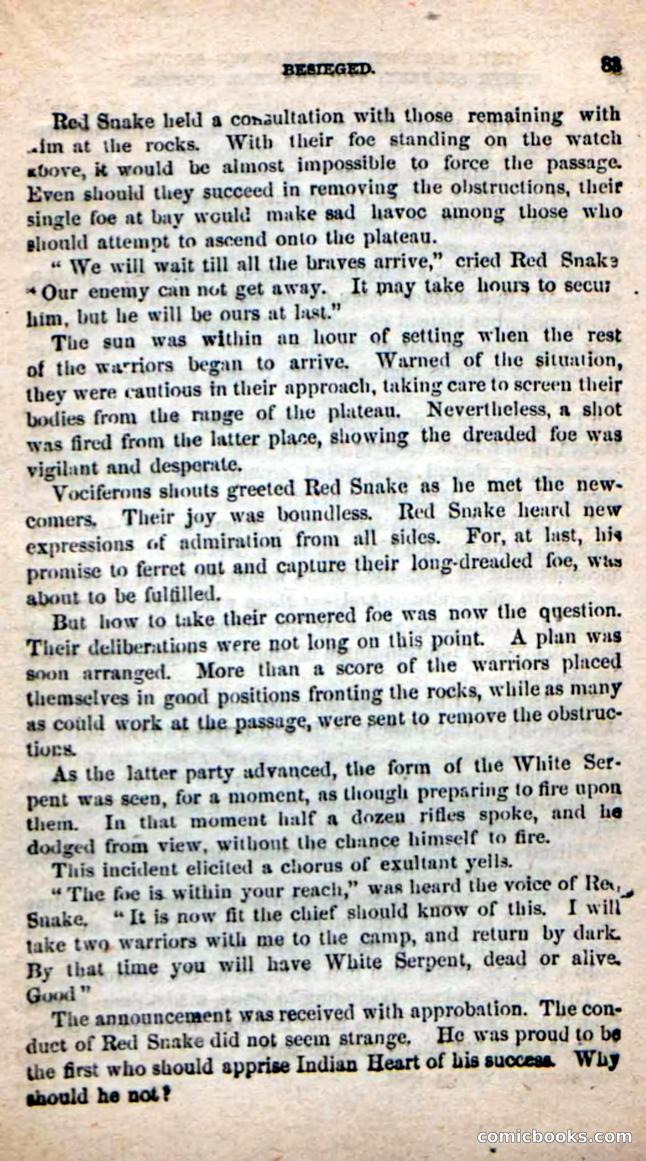 Beadle's New Dime Novels: White Serpent, the Scourge — page 80 of 101