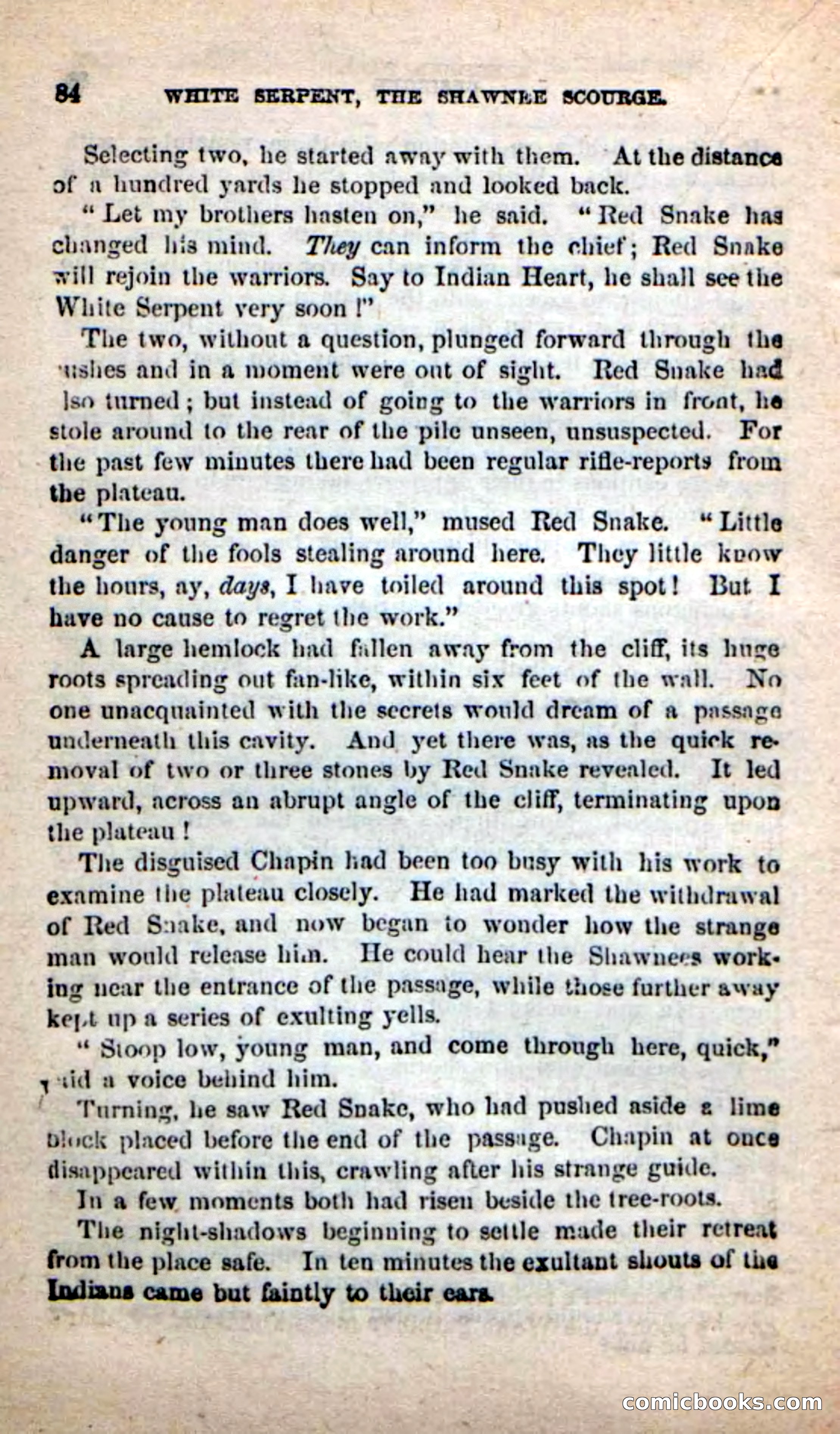 Beadle's New Dime Novels: White Serpent, the Scourge — page 81 of 101