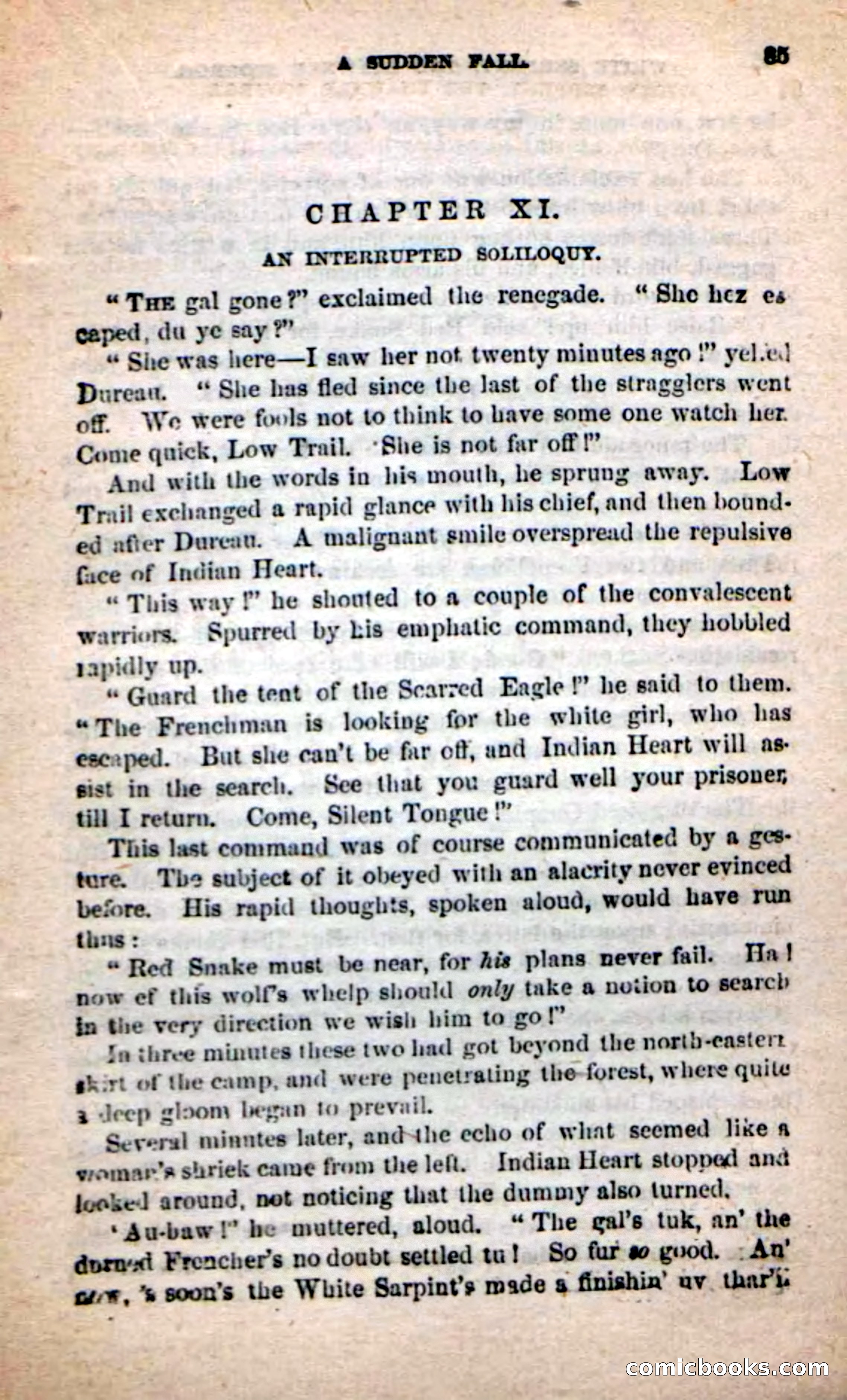 Beadle's New Dime Novels: White Serpent, the Scourge — page 82 of 101