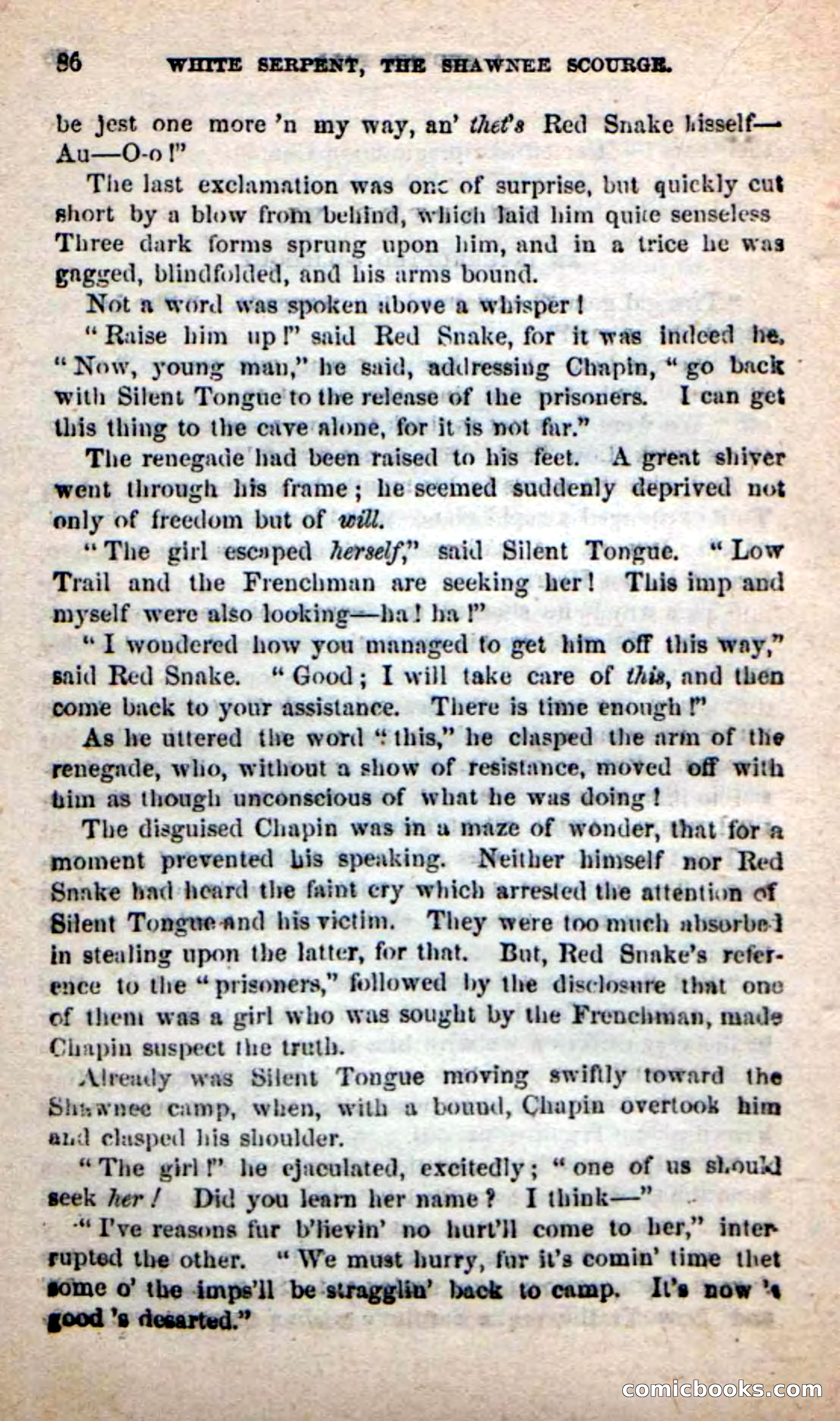 Beadle's New Dime Novels: White Serpent, the Scourge — page 83 of 101