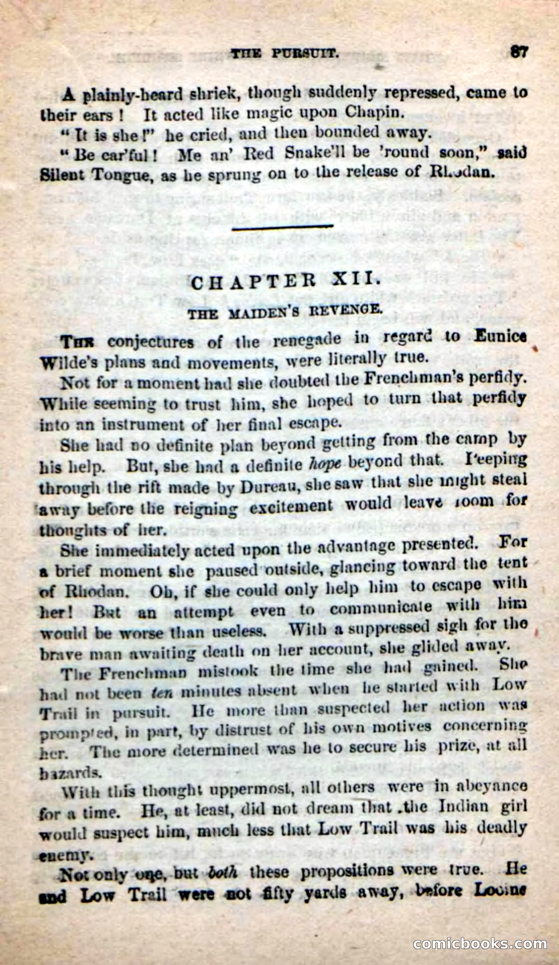 Beadle's New Dime Novels: White Serpent, the Scourge — page 84 of 101