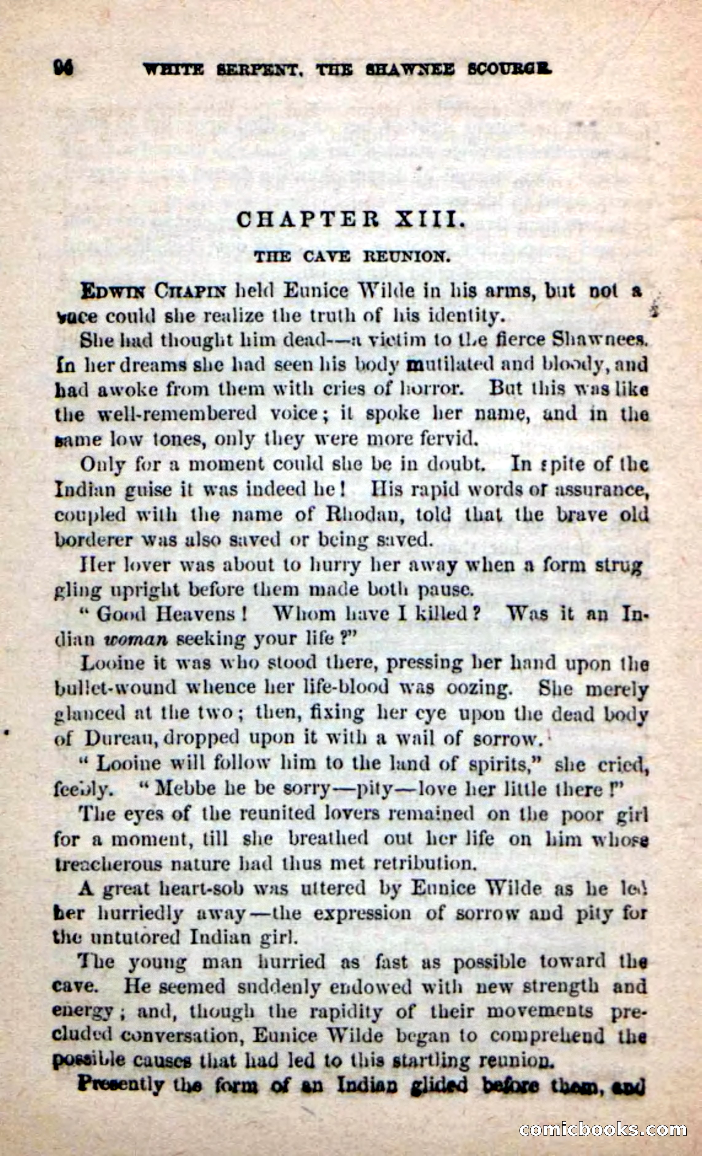 Beadle's New Dime Novels: White Serpent, the Scourge — page 87 of 101