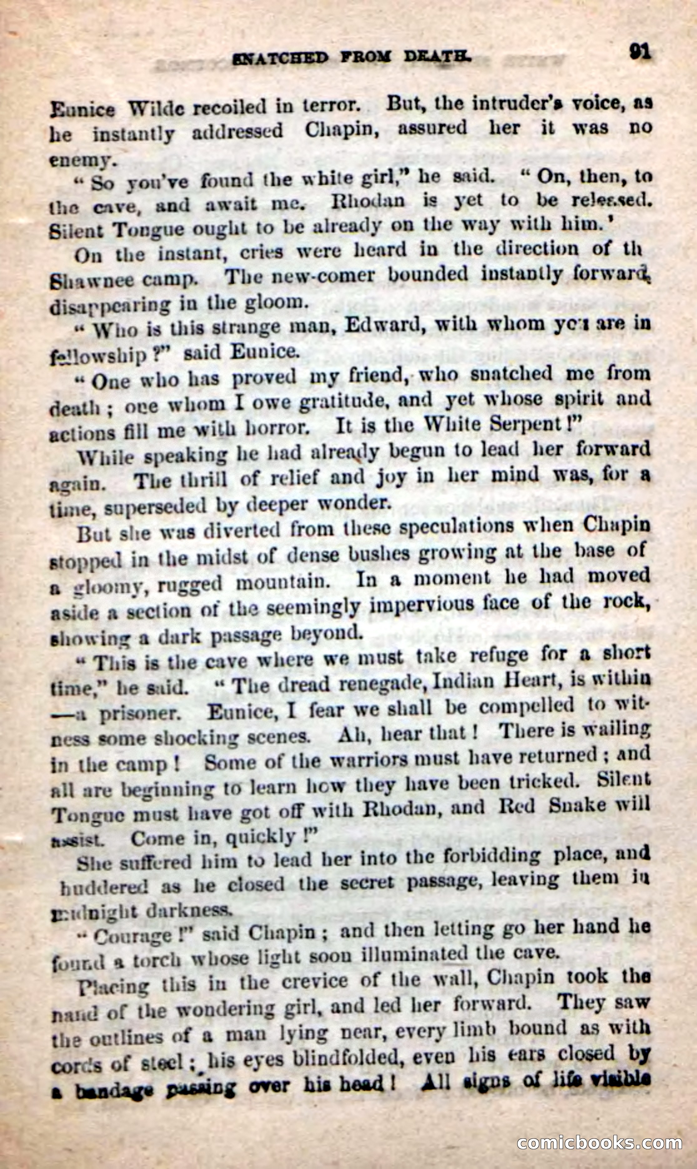 Beadle's New Dime Novels: White Serpent, the Scourge — page 88 of 101