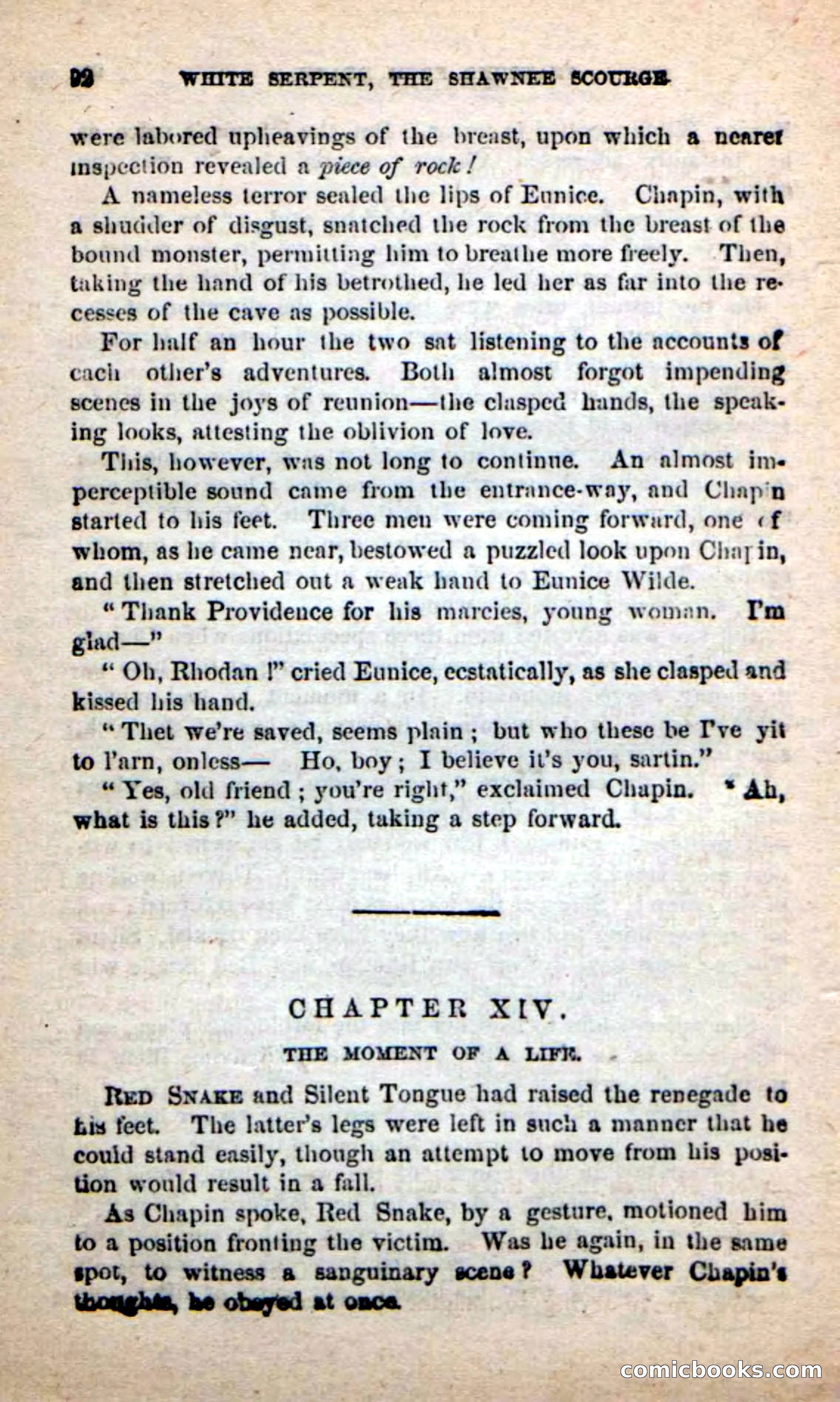 Beadle's New Dime Novels: White Serpent, the Scourge — page 89 of 101