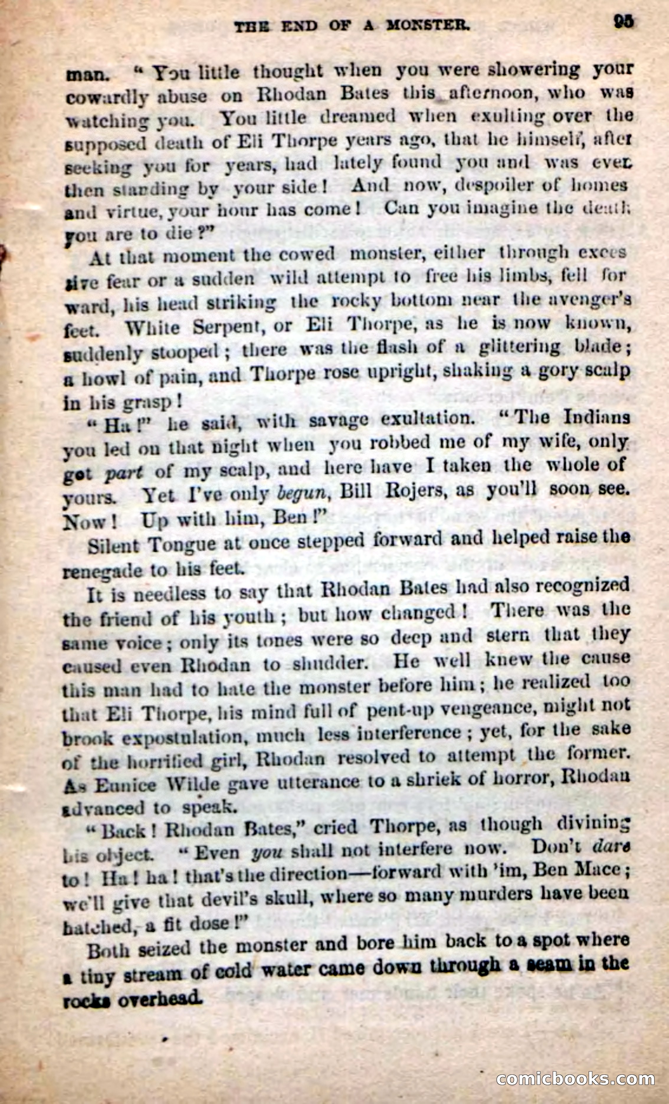 Beadle's New Dime Novels: White Serpent, the Scourge — page 92 of 101