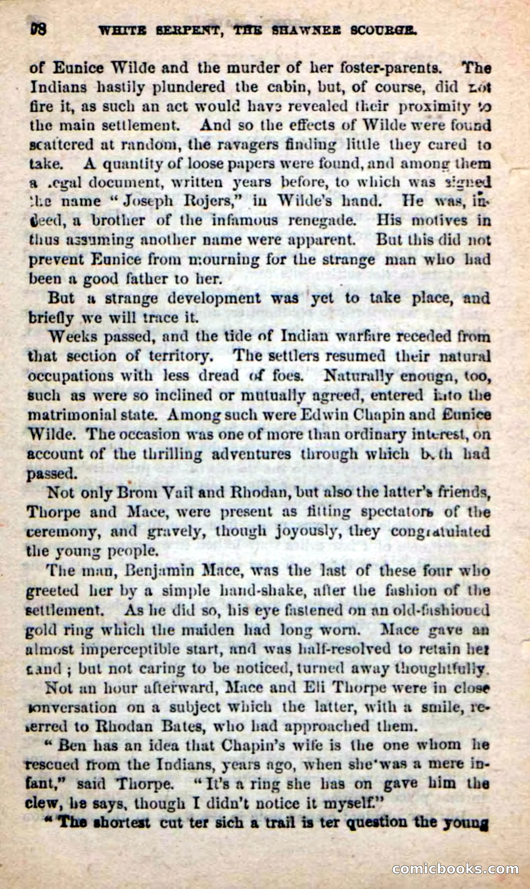 Beadle's New Dime Novels: White Serpent, the Scourge — page 95 of 101