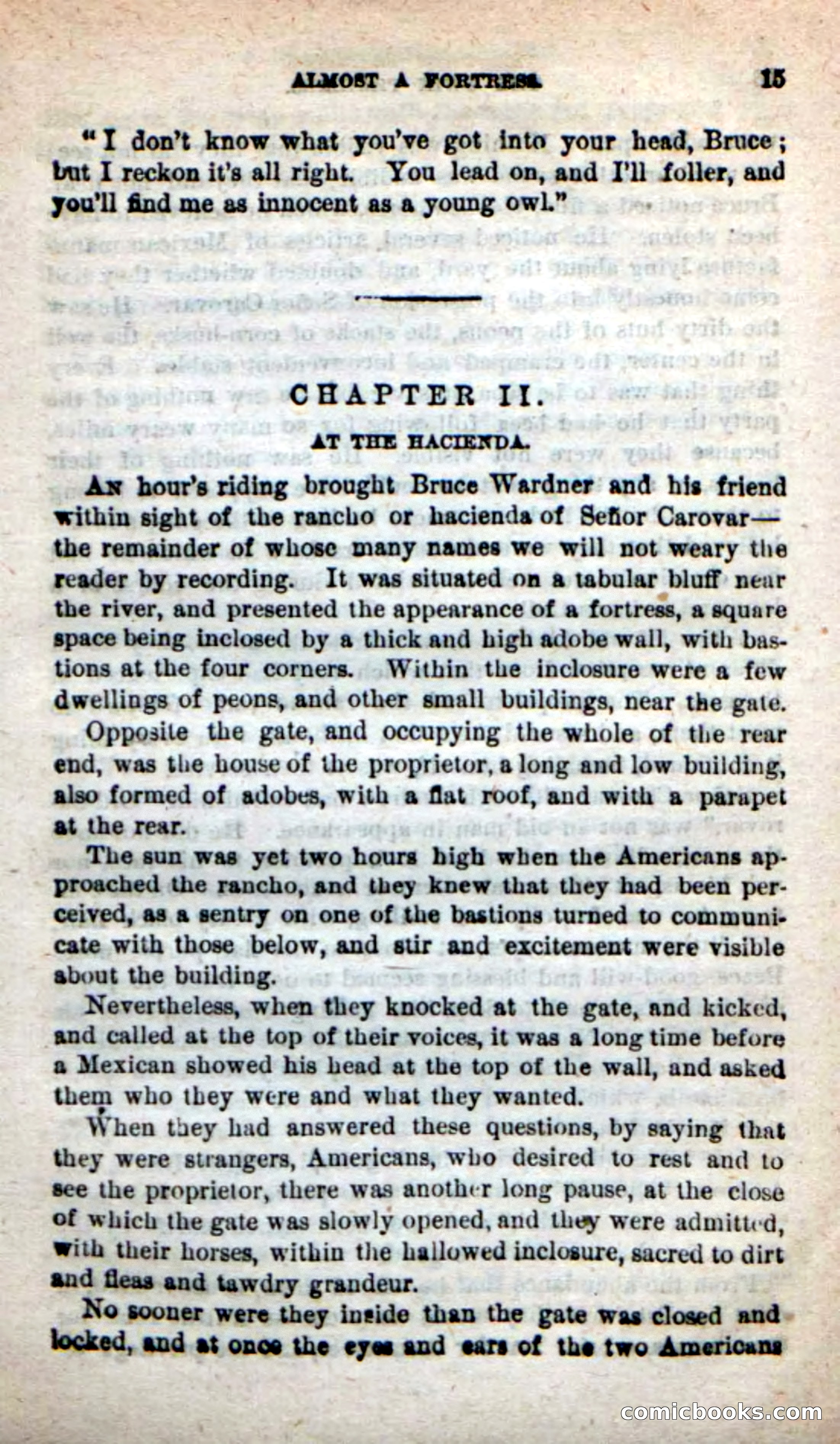 Beadle's New Dime Novels: The Twin Trailers — page 11 of 100
