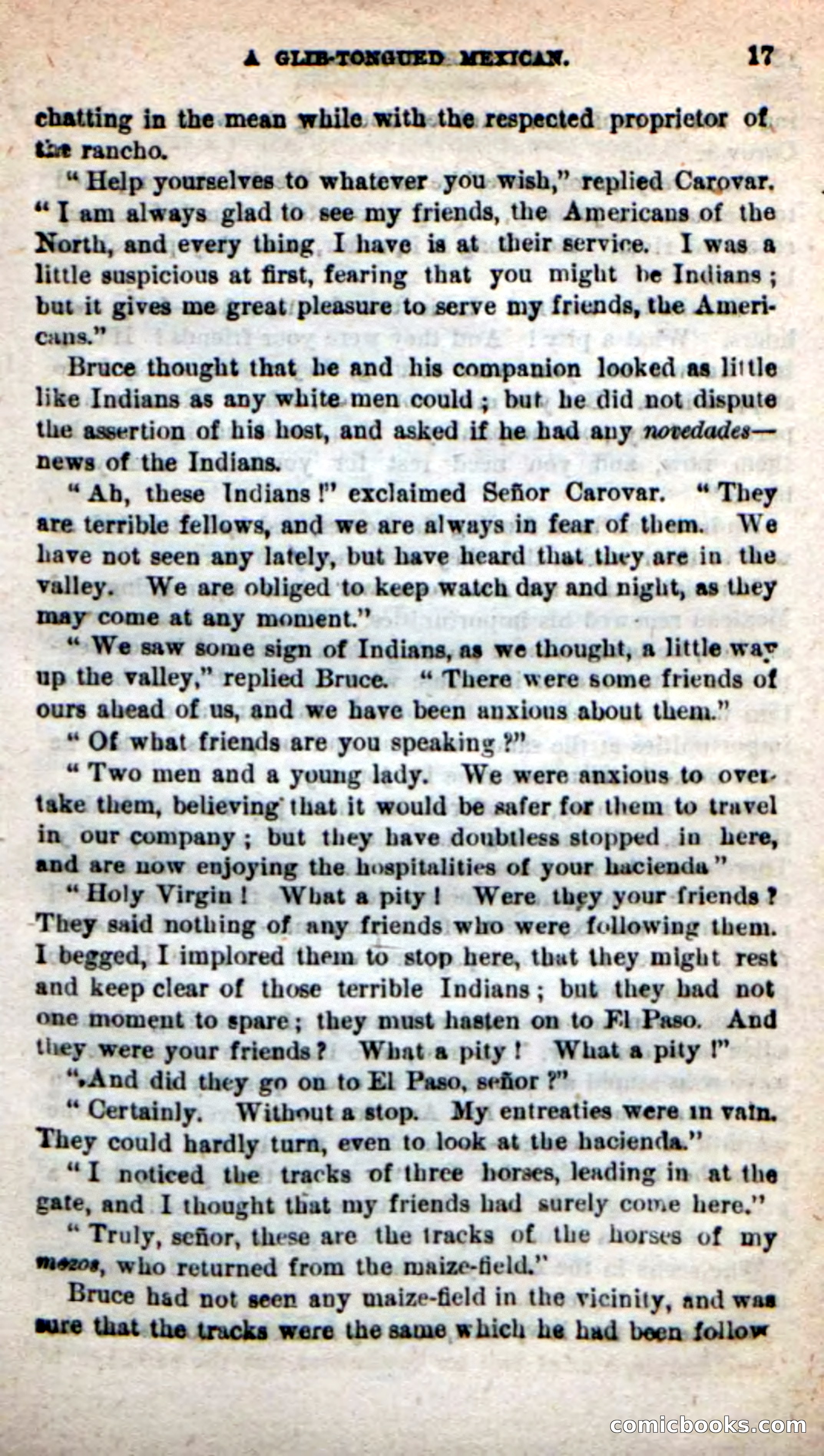 Beadle's New Dime Novels: The Twin Trailers — page 13 of 100