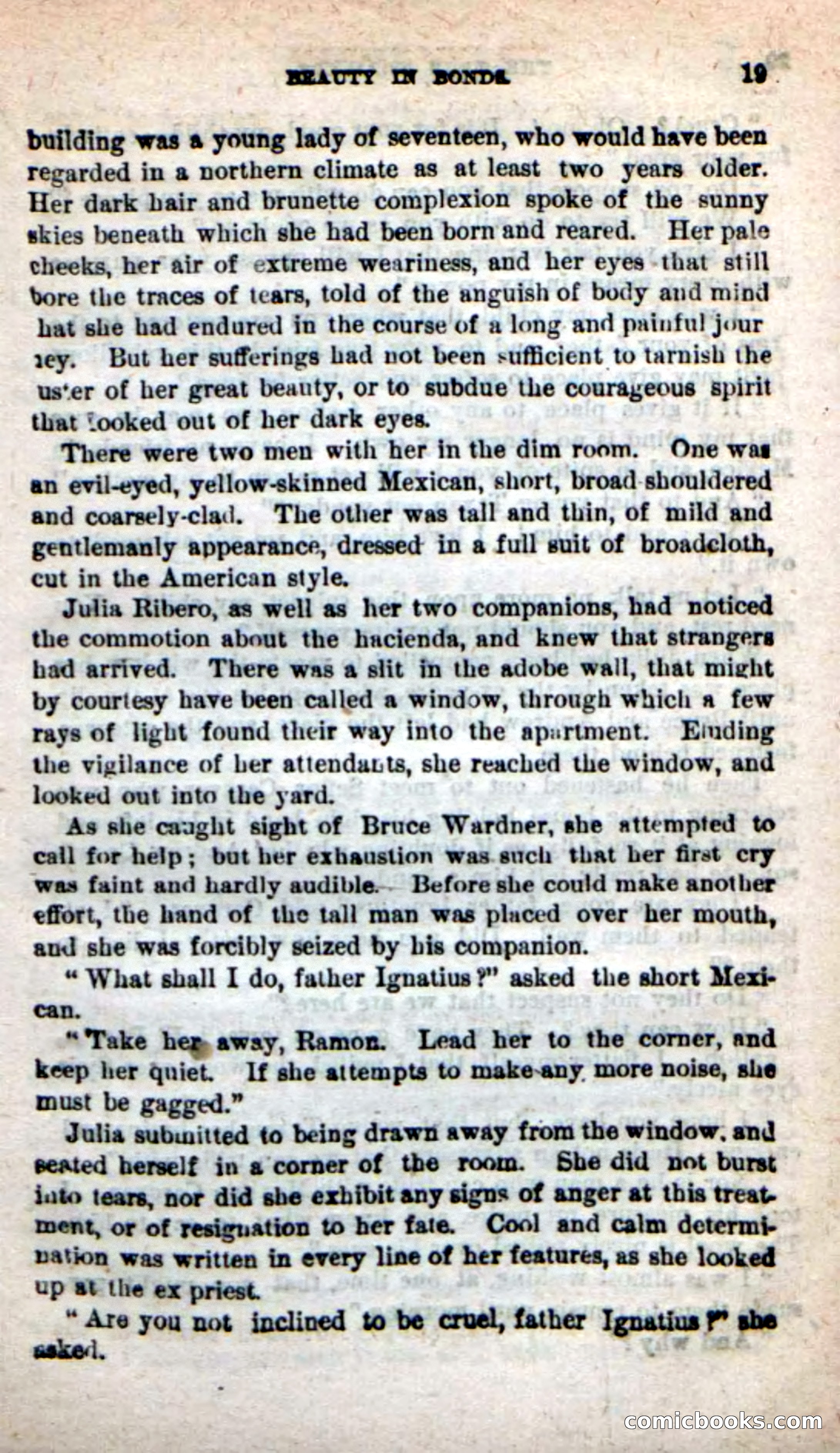 Beadle's New Dime Novels: The Twin Trailers — page 15 of 100