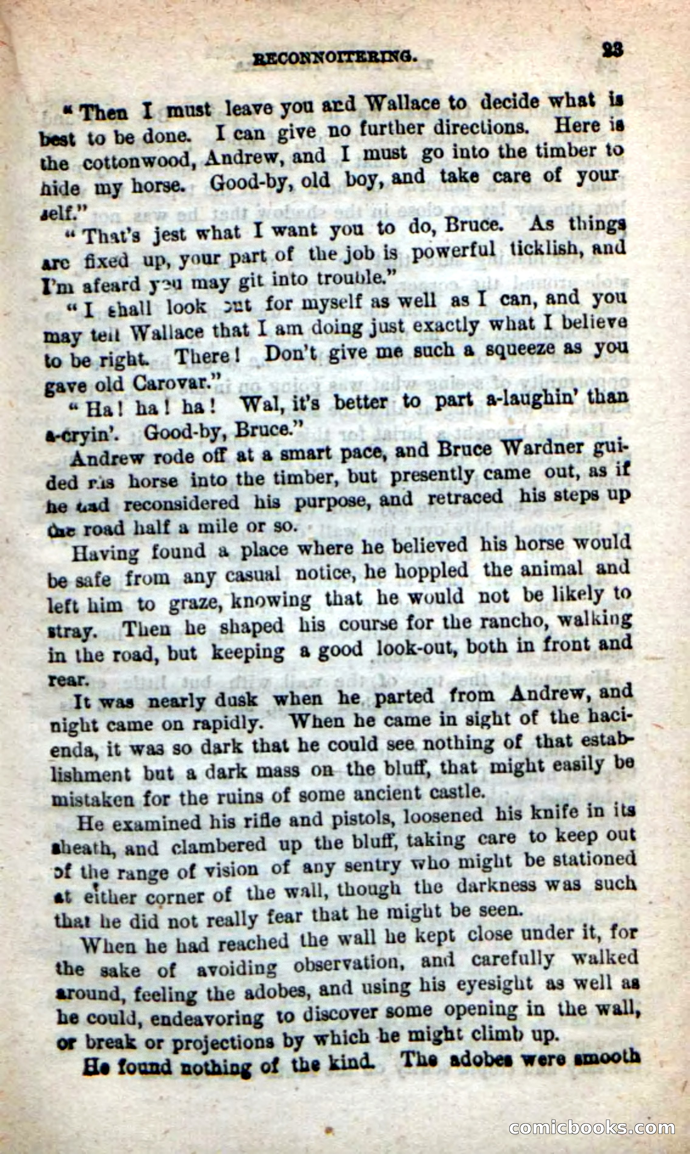 Beadle's New Dime Novels: The Twin Trailers — page 19 of 100
