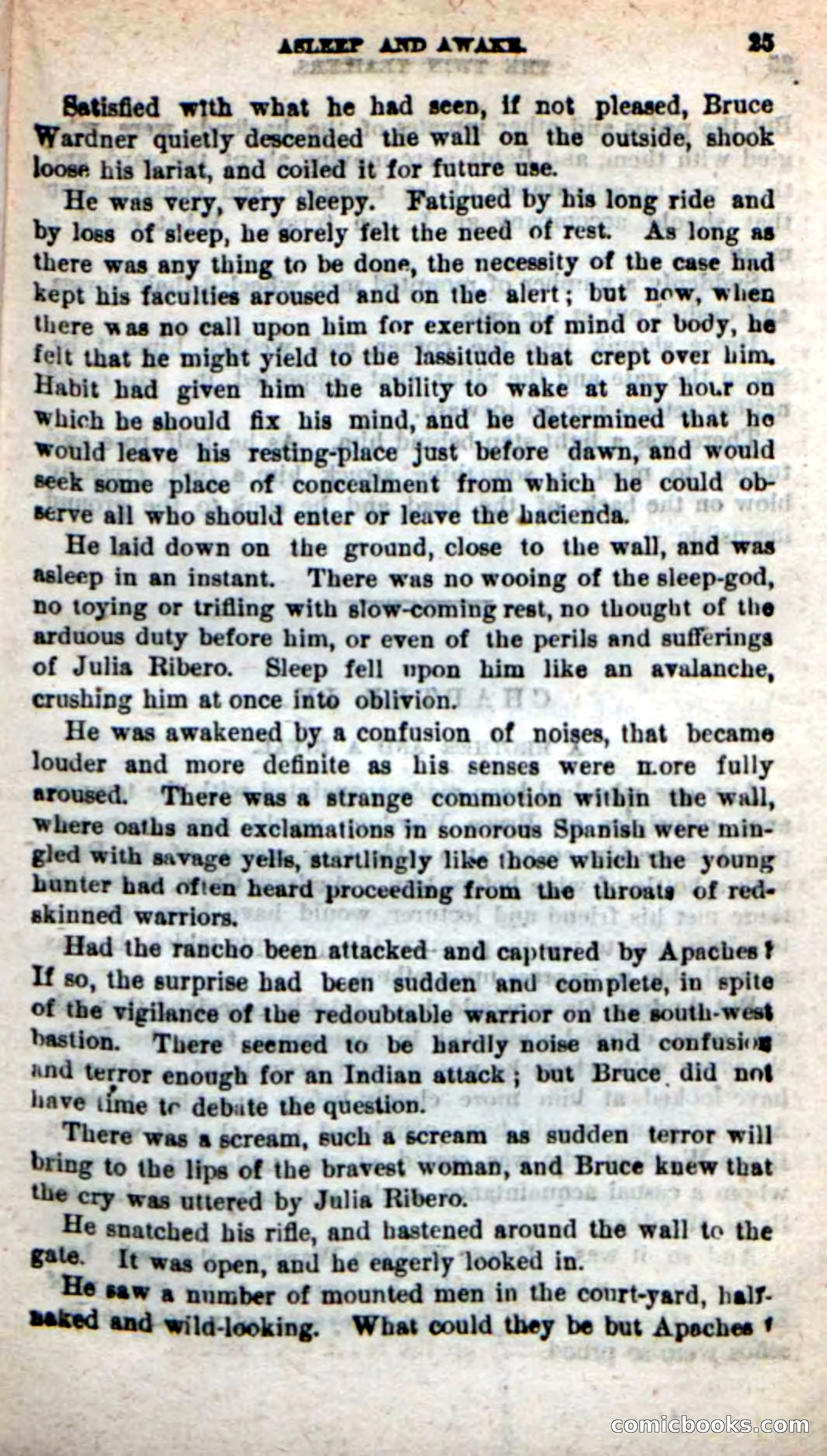 Beadle's New Dime Novels: The Twin Trailers — page 21 of 100