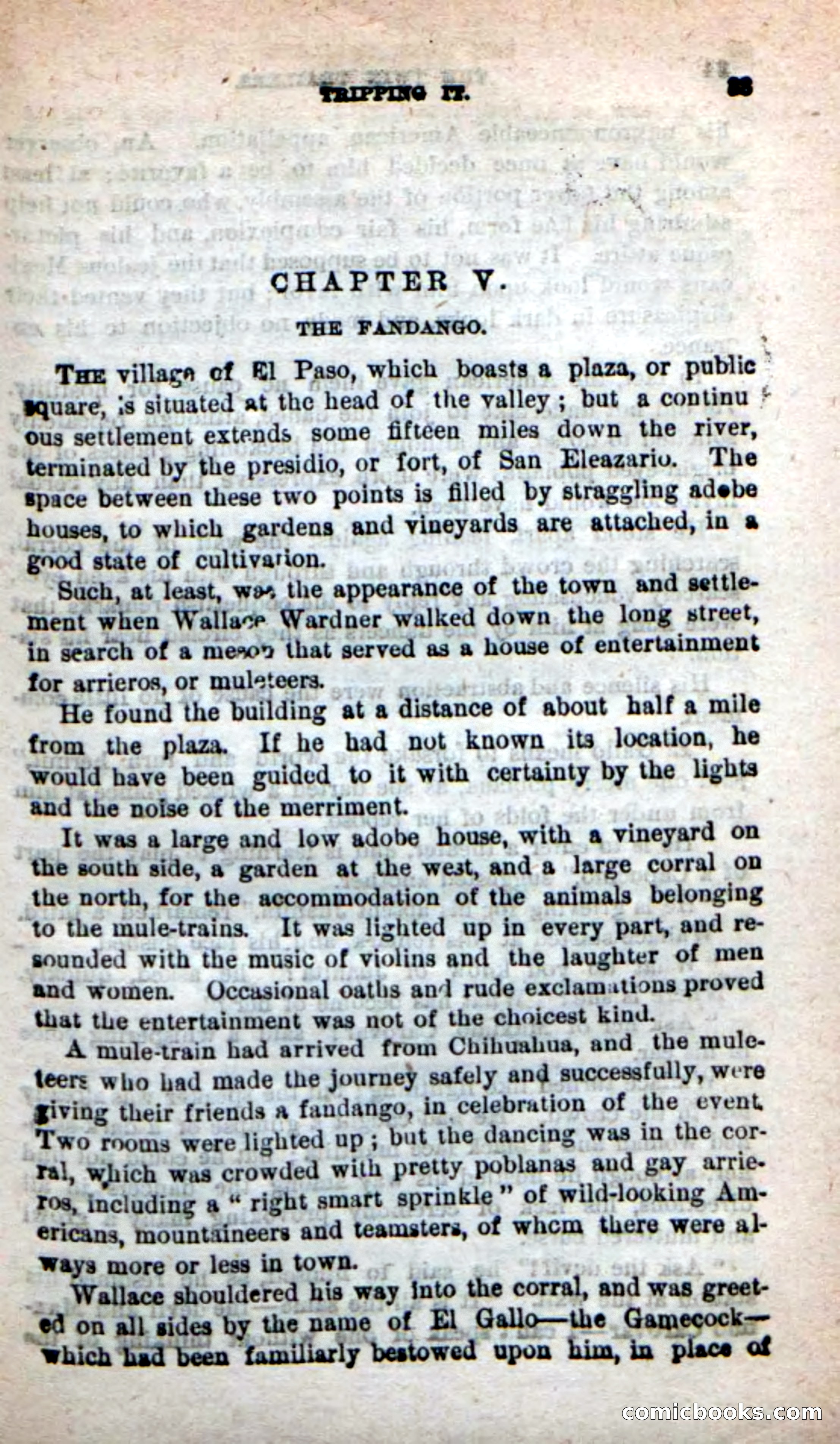 Beadle's New Dime Novels: The Twin Trailers — page 29 of 100