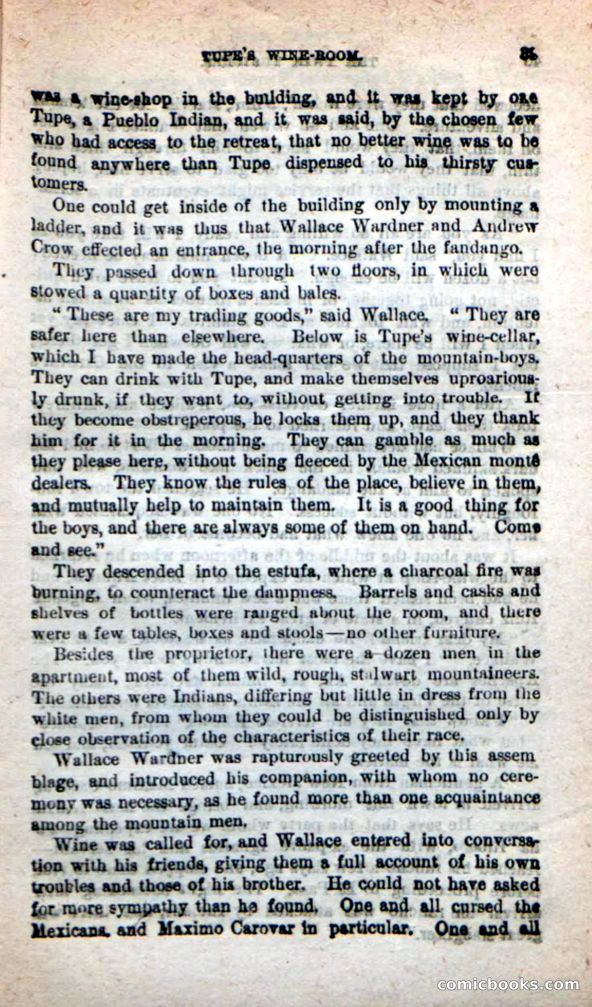 Beadle's New Dime Novels: The Twin Trailers — page 35 of 100