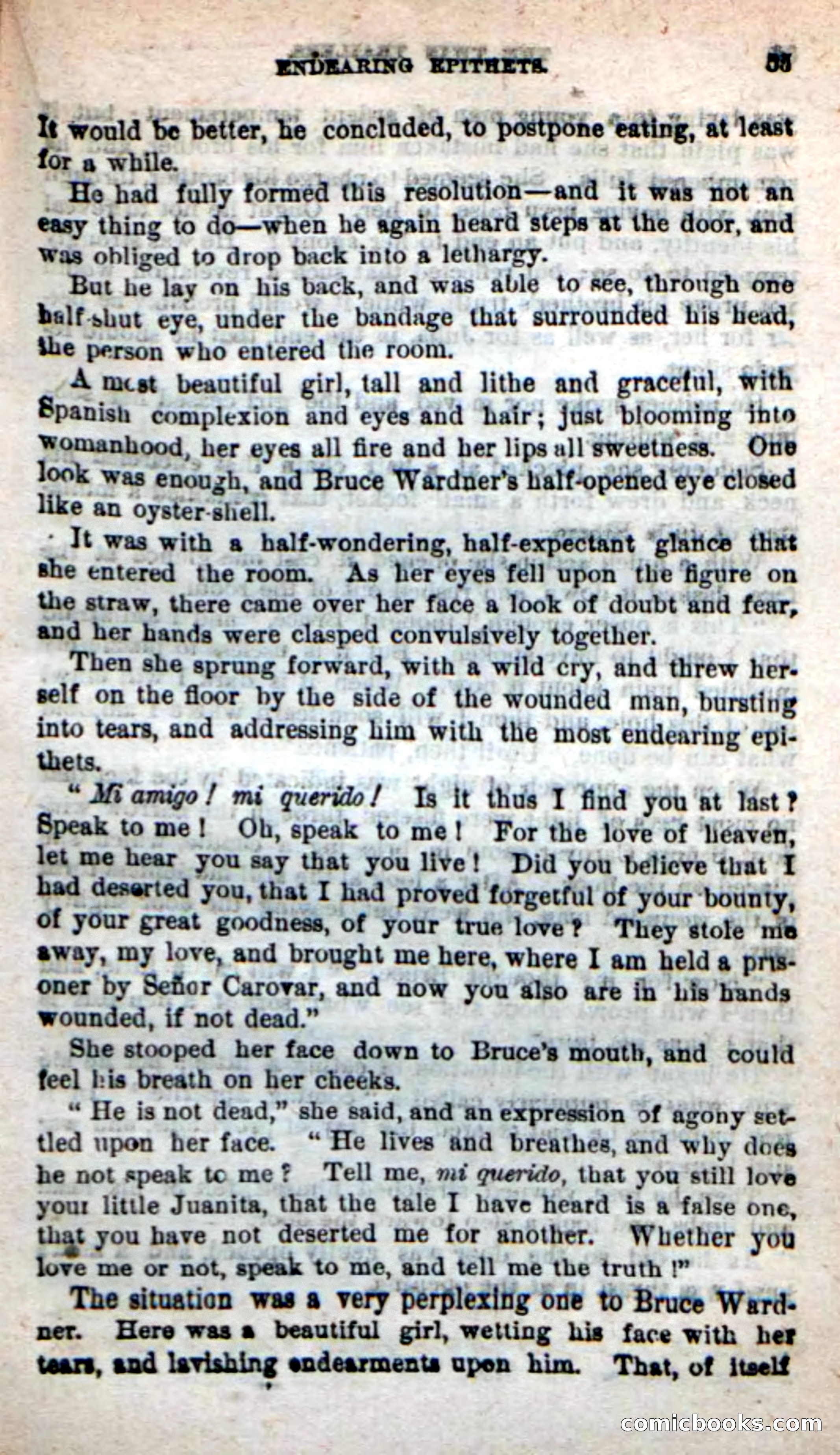 Beadle's New Dime Novels: The Twin Trailers — page 51 of 100