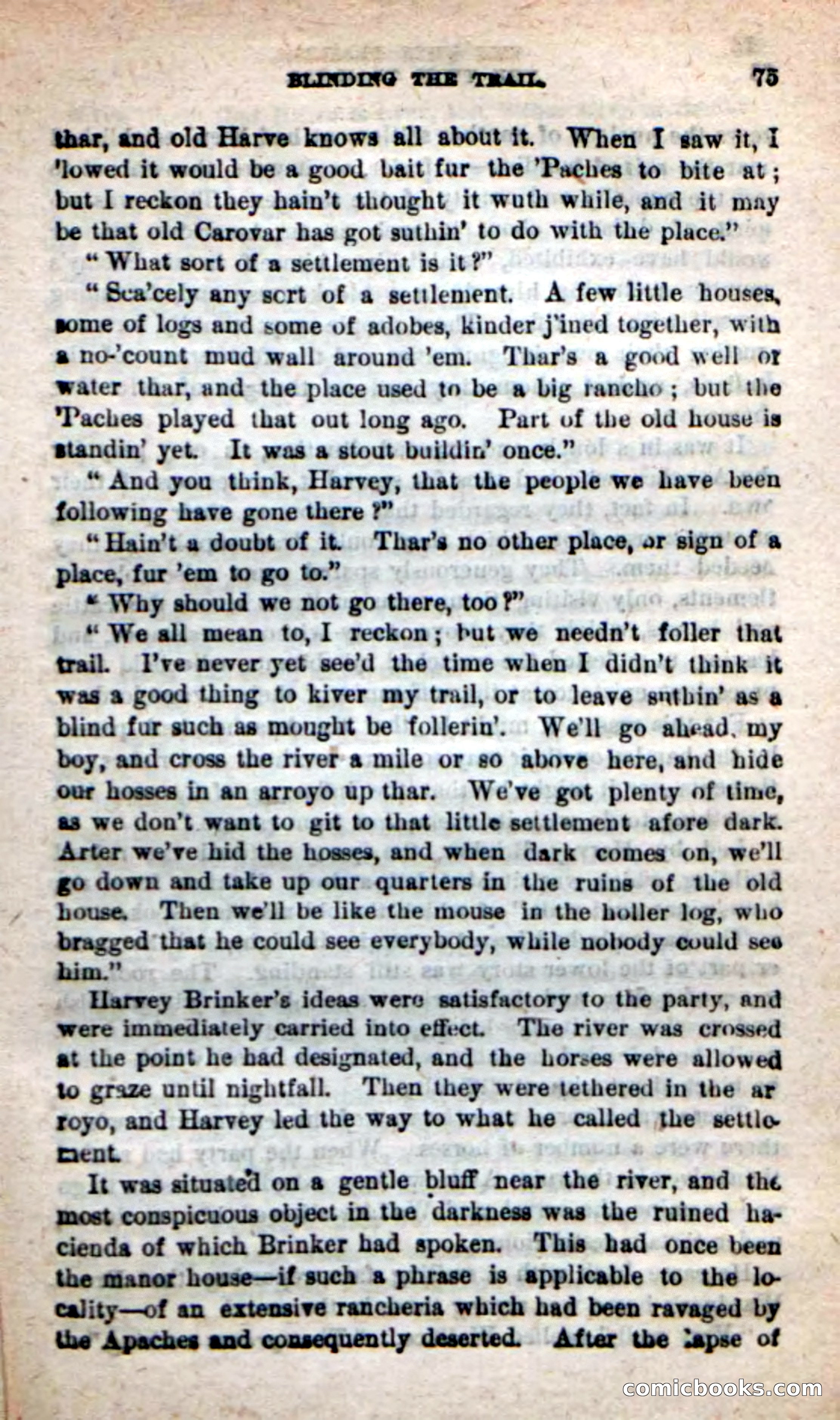 Beadle's New Dime Novels: The Twin Trailers — page 71 of 100