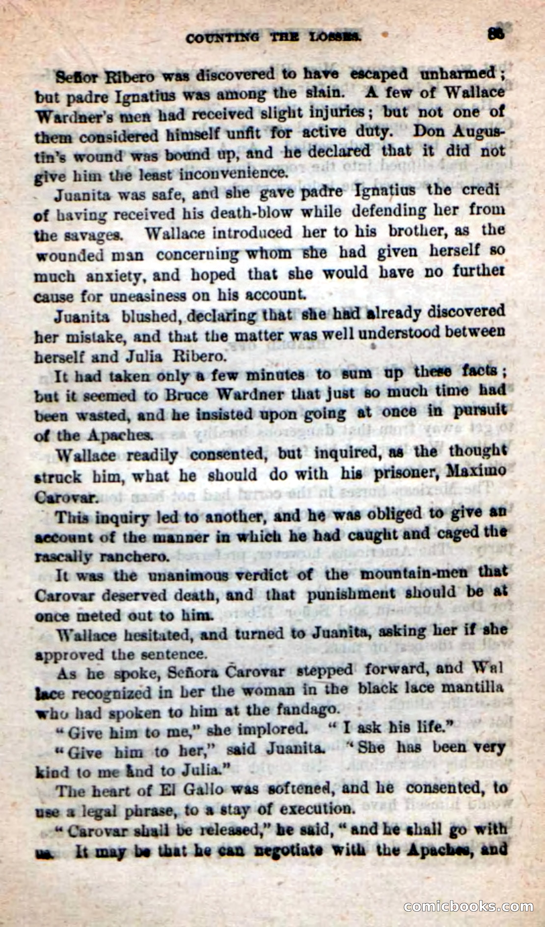 Beadle's New Dime Novels: The Twin Trailers — page 81 of 100