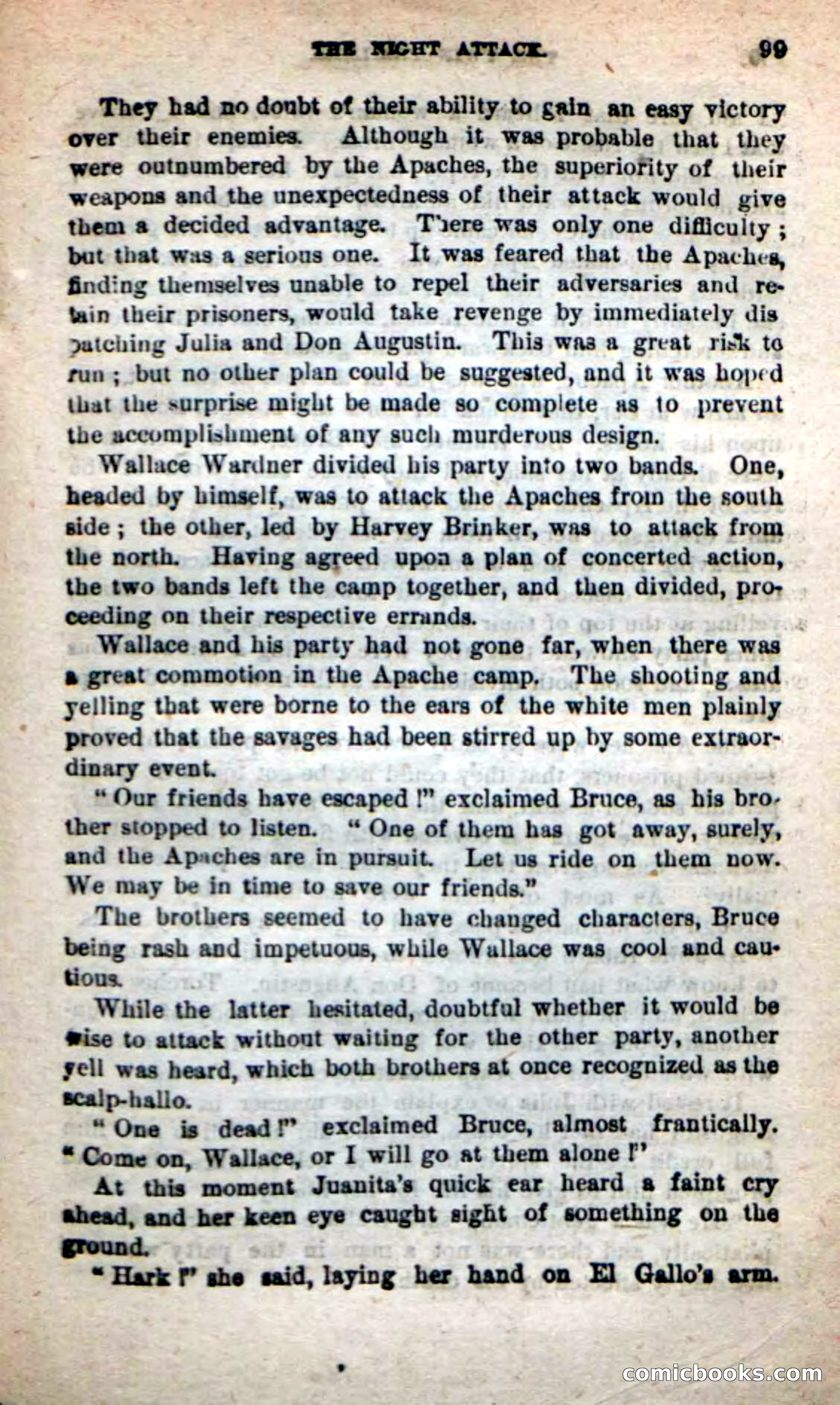 Beadle's New Dime Novels: The Twin Trailers — page 95 of 100
