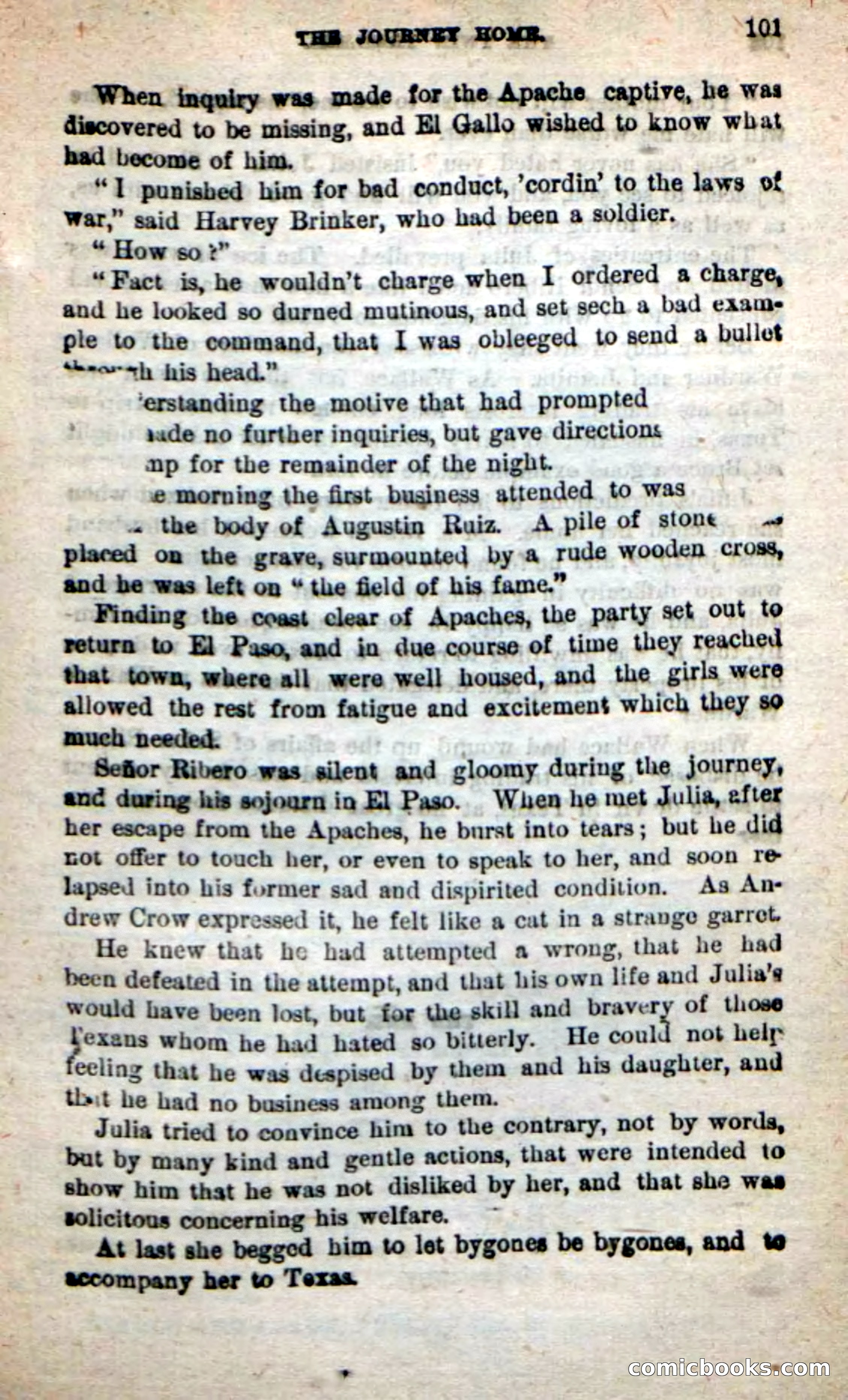 Beadle's New Dime Novels: The Twin Trailers — page 97 of 100