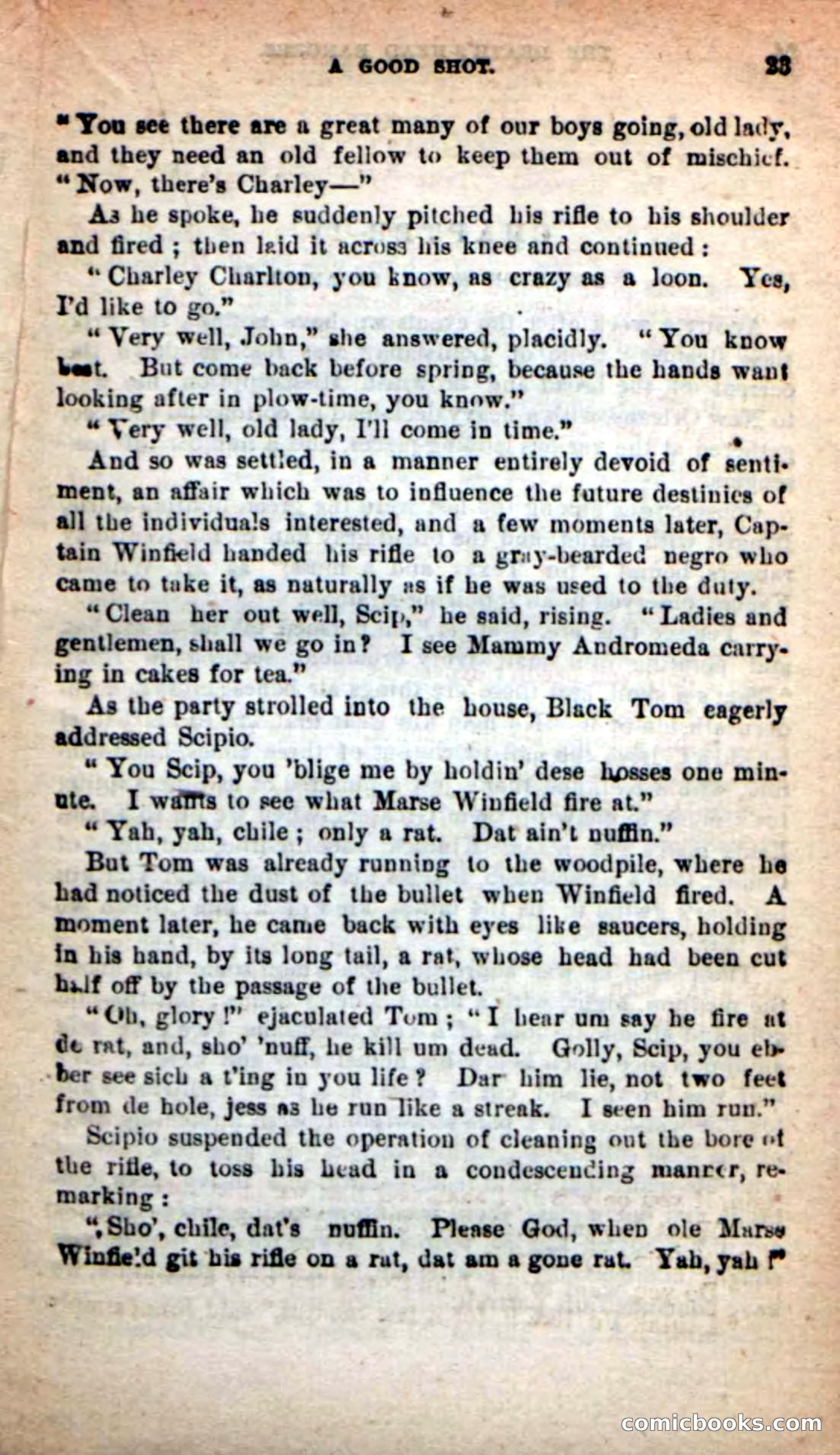 Beadle's New Dime Novels: The Death's-Head Rangers — page 19 of 100