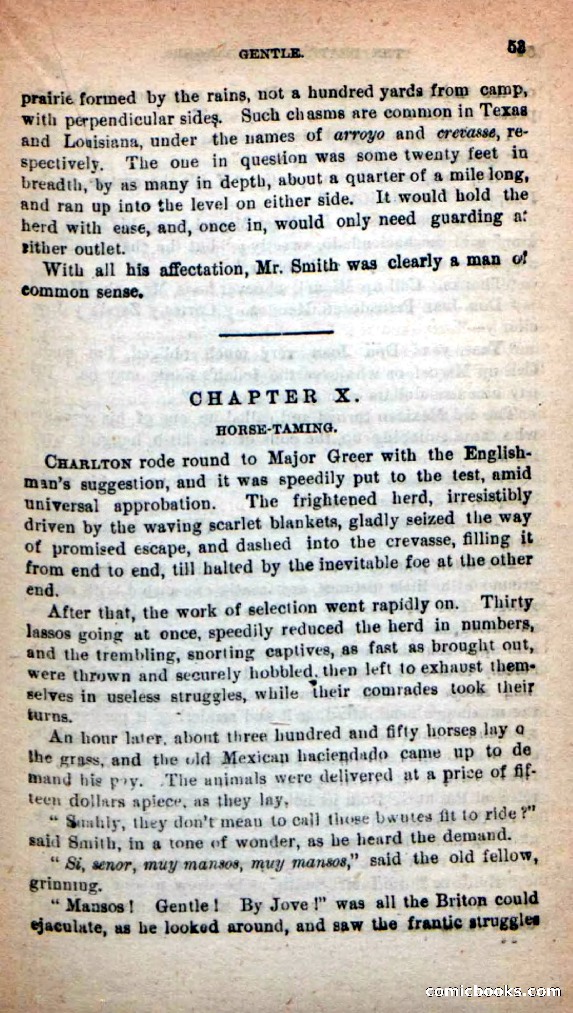 Beadle's New Dime Novels: The Death's-Head Rangers — page 49 of 100