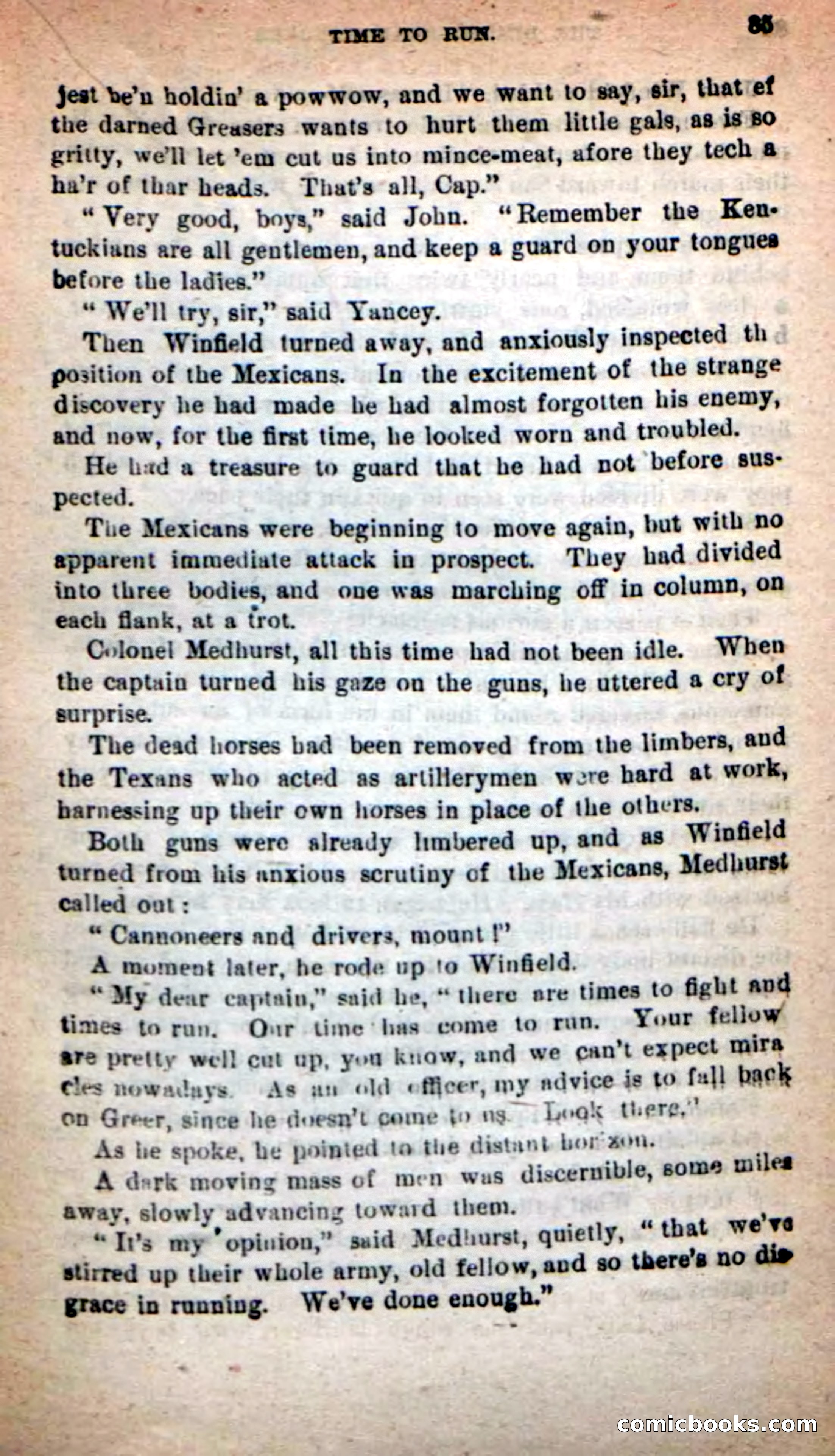 Beadle's New Dime Novels: The Death's-Head Rangers — page 81 of 100