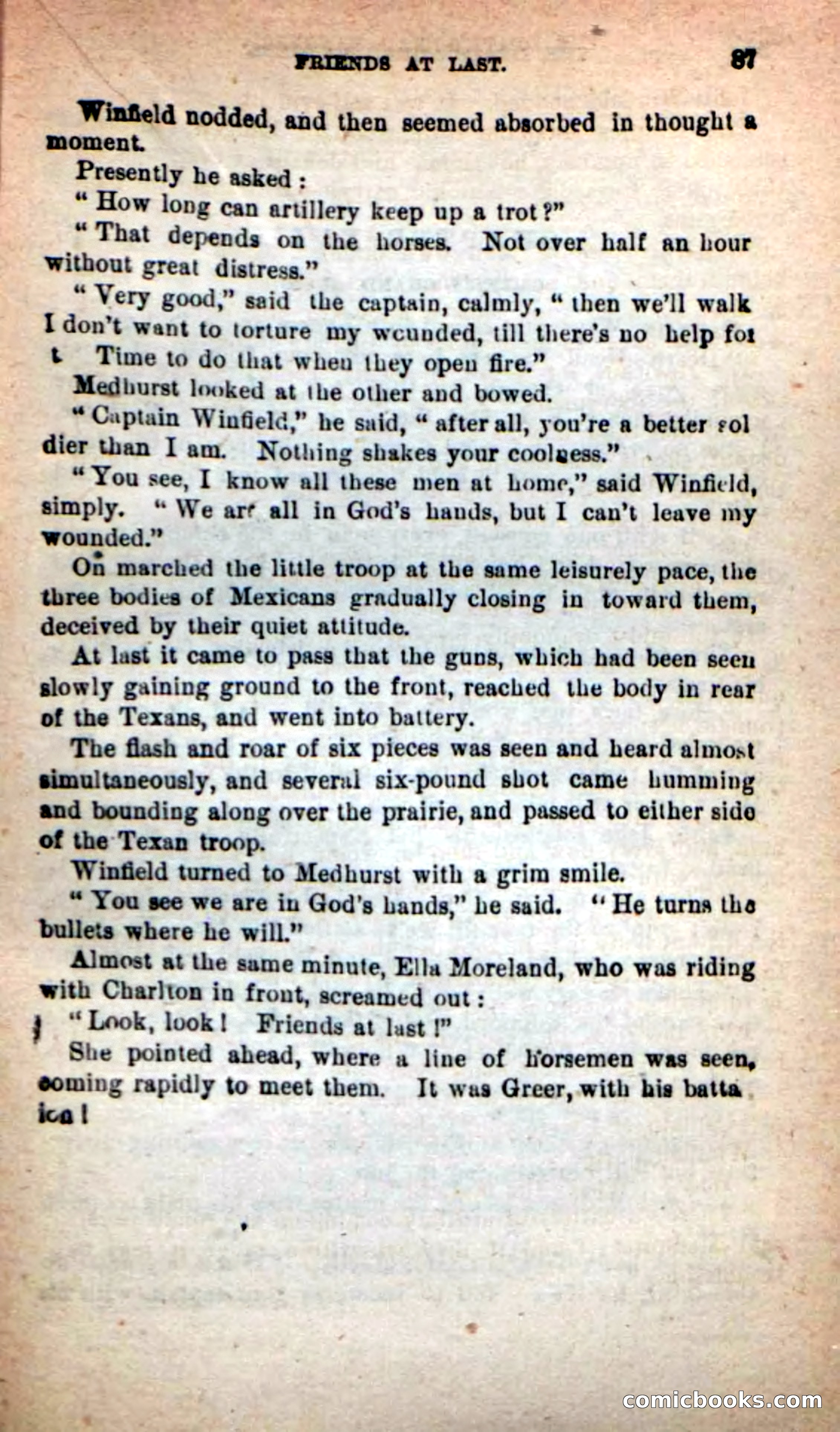 Beadle's New Dime Novels: The Death's-Head Rangers — page 83 of 100