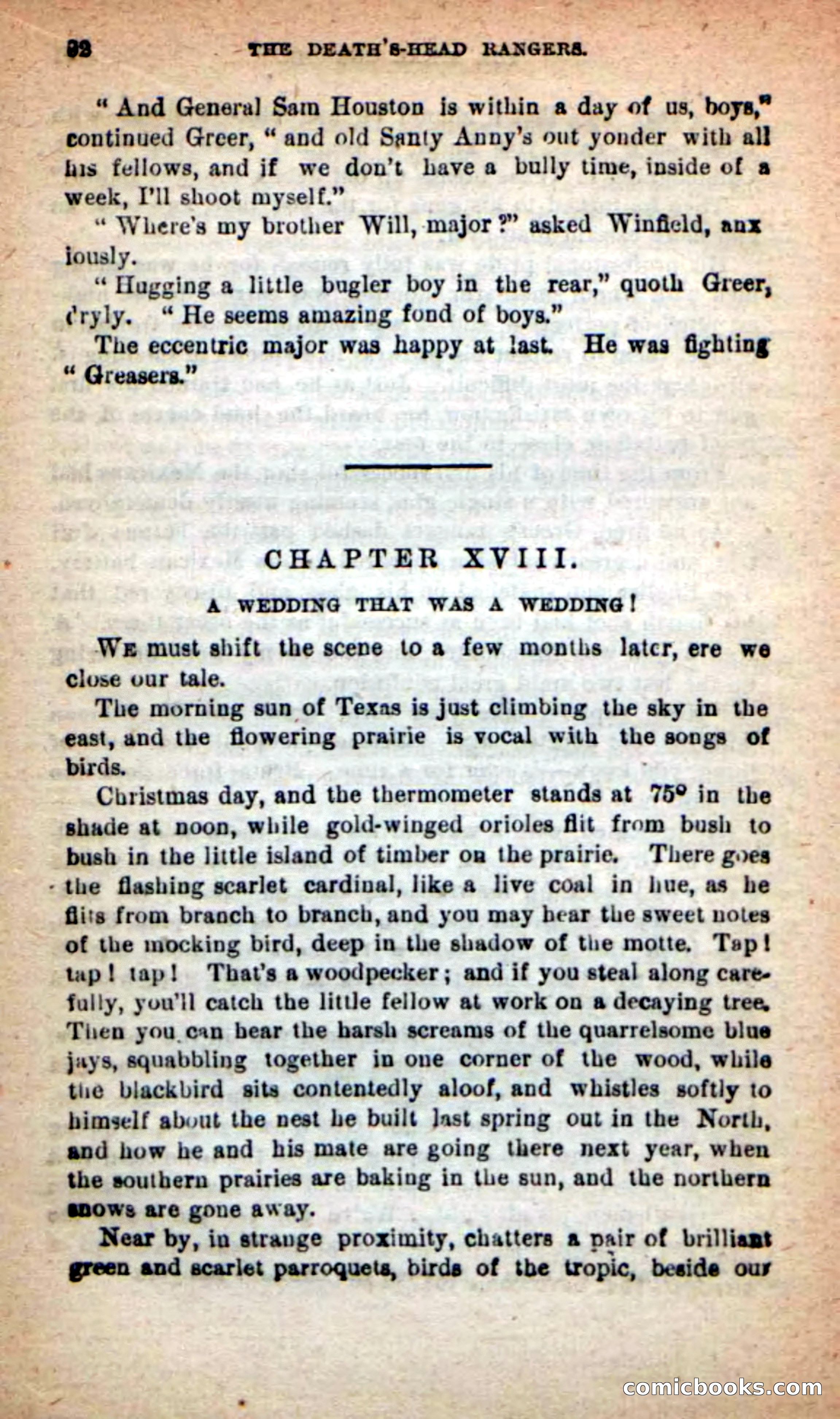 Beadle's New Dime Novels: The Death's-Head Rangers — page 88 of 100
