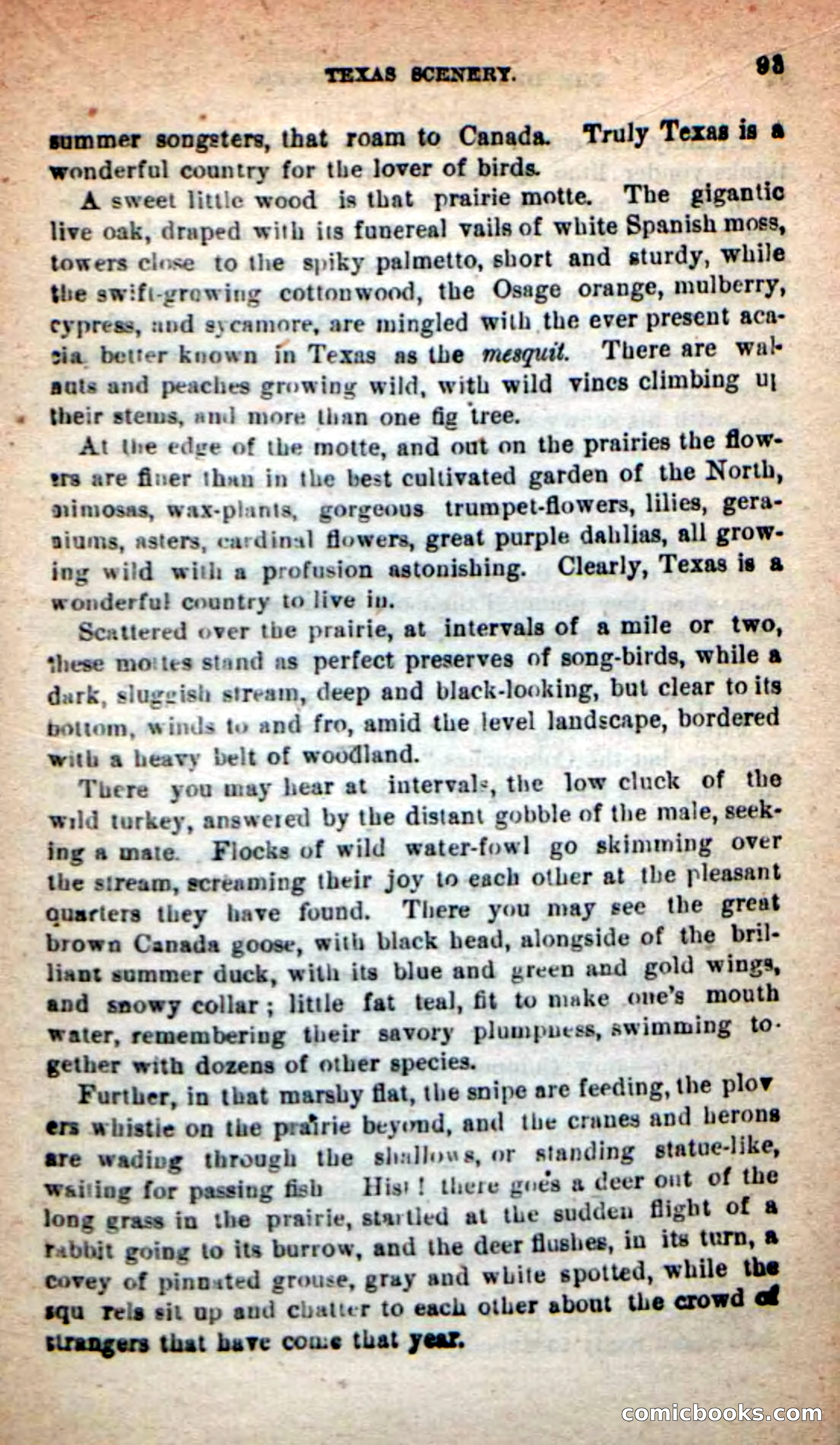 Beadle's New Dime Novels: The Death's-Head Rangers — page 89 of 100